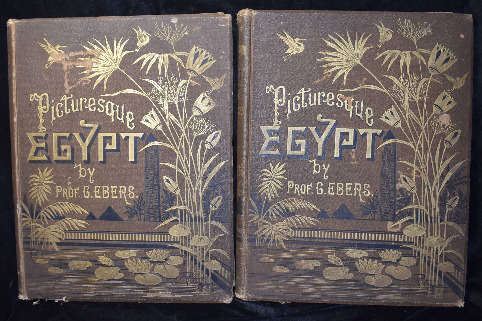 1885 Egypt: Descriptive, Historical, and Picturesque. Volumes I and II, complete set (1 of 16)