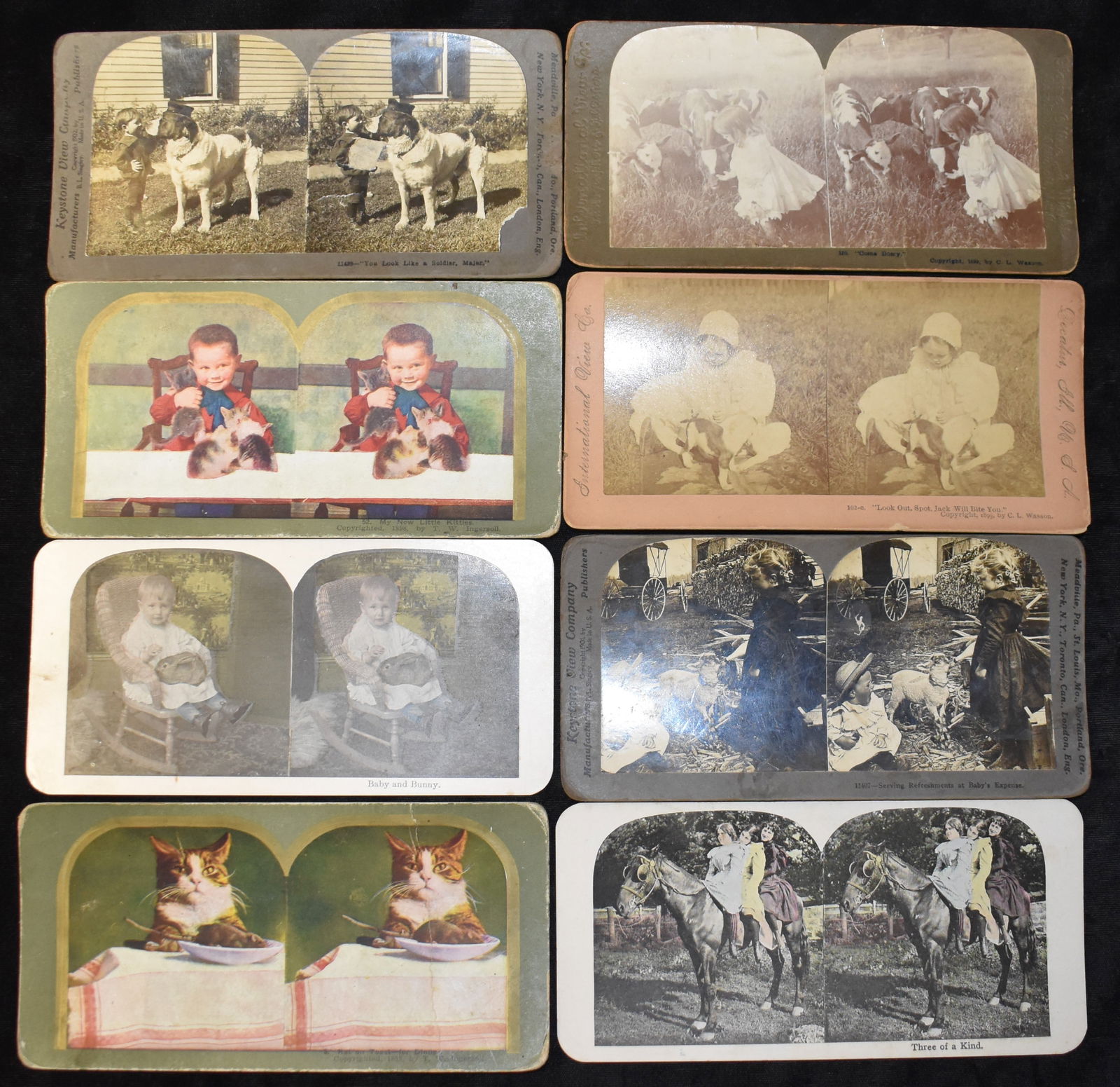 8 Victorian Era Stereoscope Viewer Cards of Children & Animals - 1899 (1 of 4)