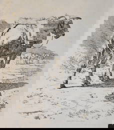 1808 1st Edition - Etchings of Asses and Mules By Robert Hills - HUGE Folio Etchings Book