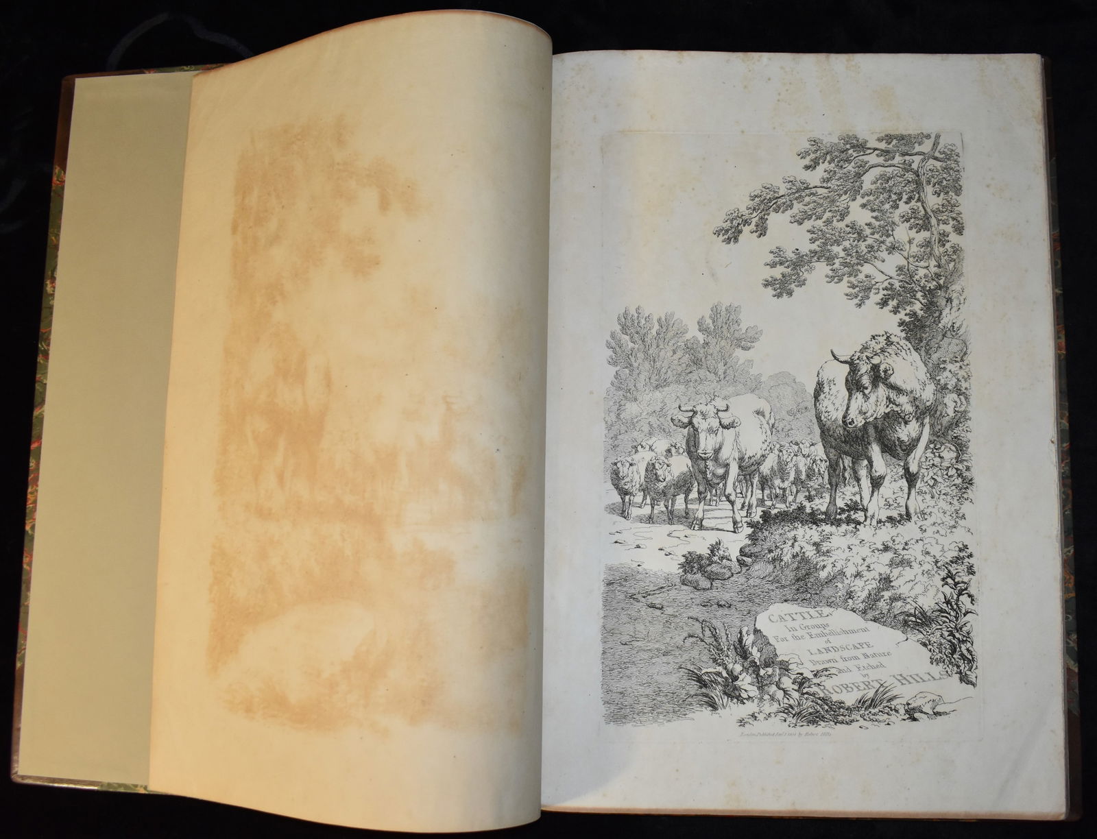 1808 1st Edition - Cattle In Groups For the Embellishment of Landscape Drawn from Nature and Etched (1 of 10)