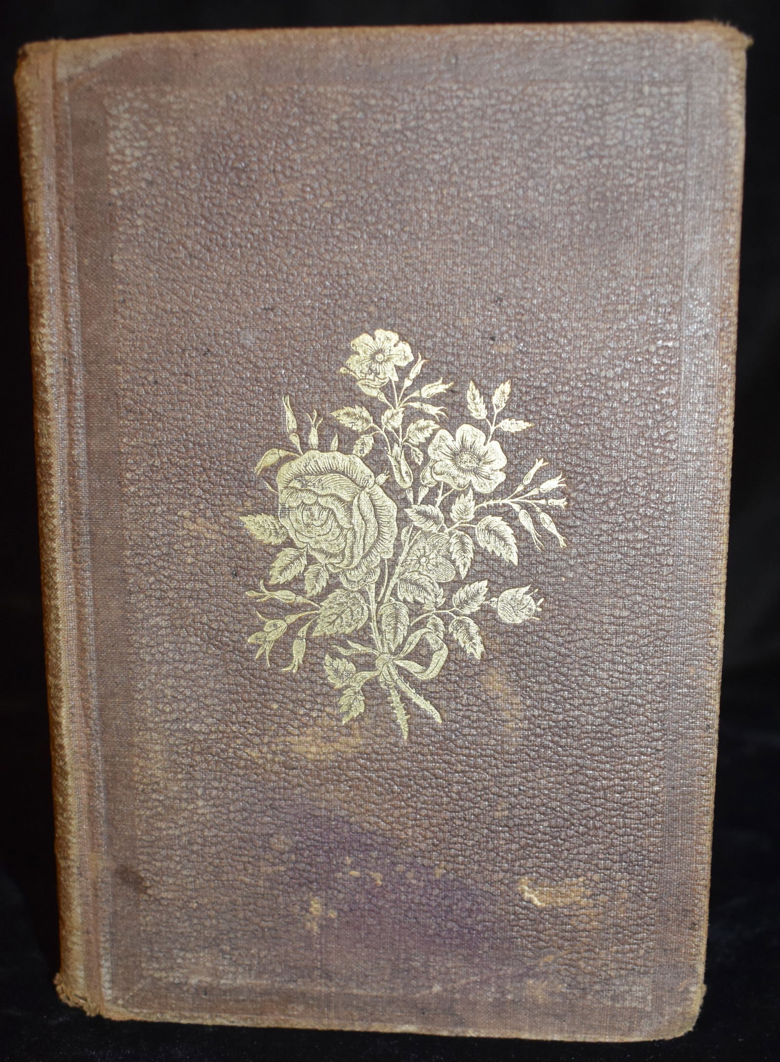 1865 The Complete Herbalist or The People Their Own Physicians 1st Edition (1 of 7)