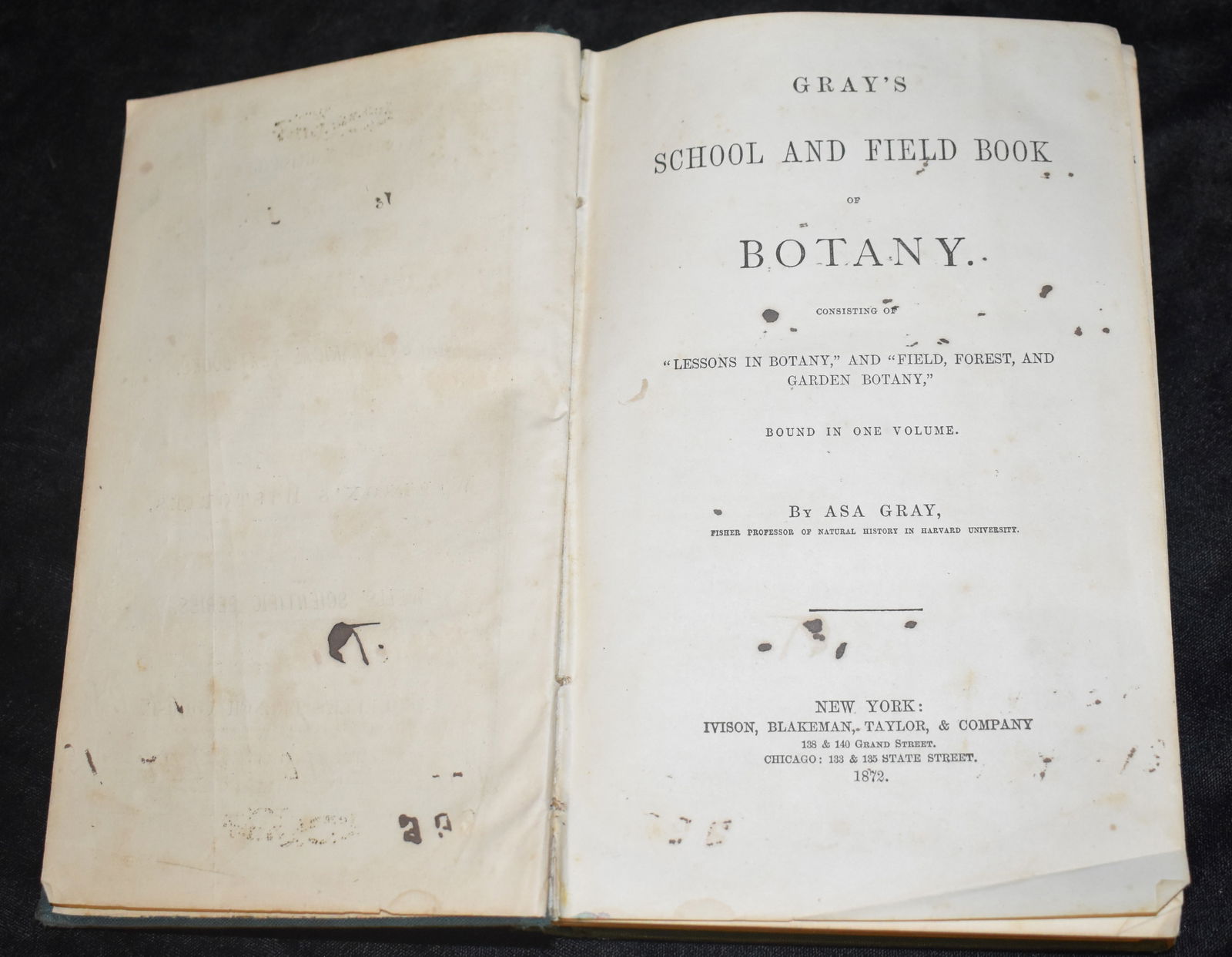 1872 Gray's School and Field Book of Botany (1 of 6)