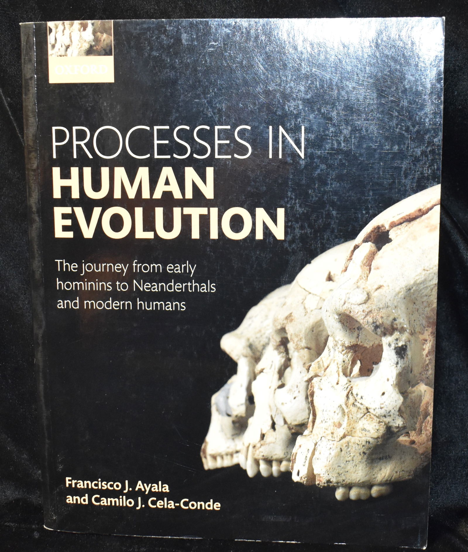 Processes in Human Evolution: The journey from Early Hominins to Neanderthals and Modern Humans: Processes in Human Evolution: The journey from early hominins to Neanderthals and modern humans by Ayala, Francisco J.. Published by Oxford University Press, 2017. Very good condition softback.