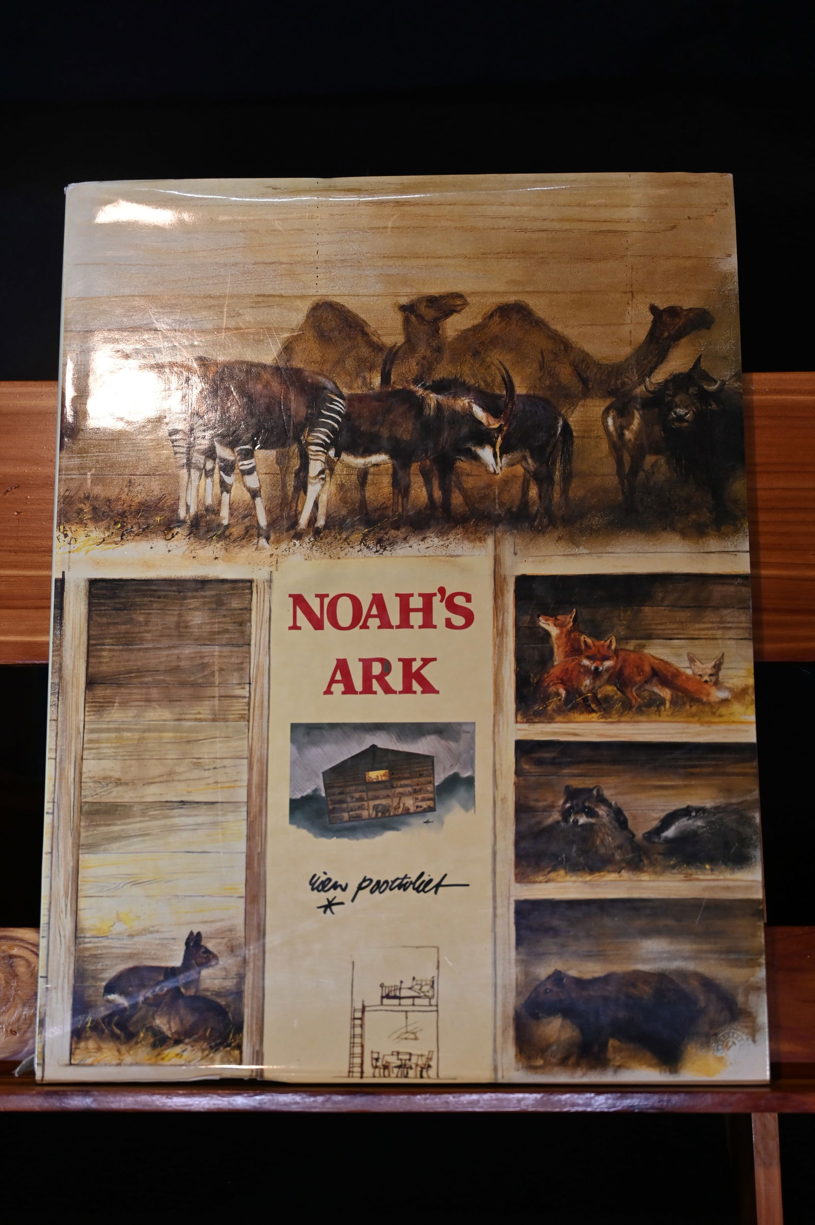 Noah's Ark (1 of 9)