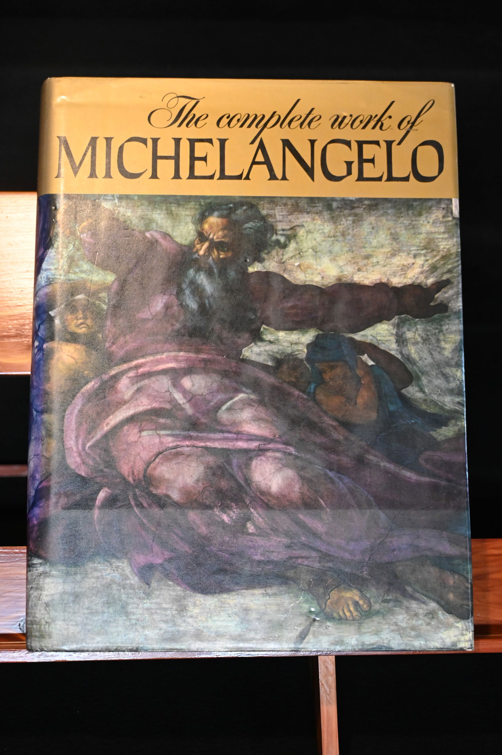 The Complete Work of Michelangelo (1 of 11)