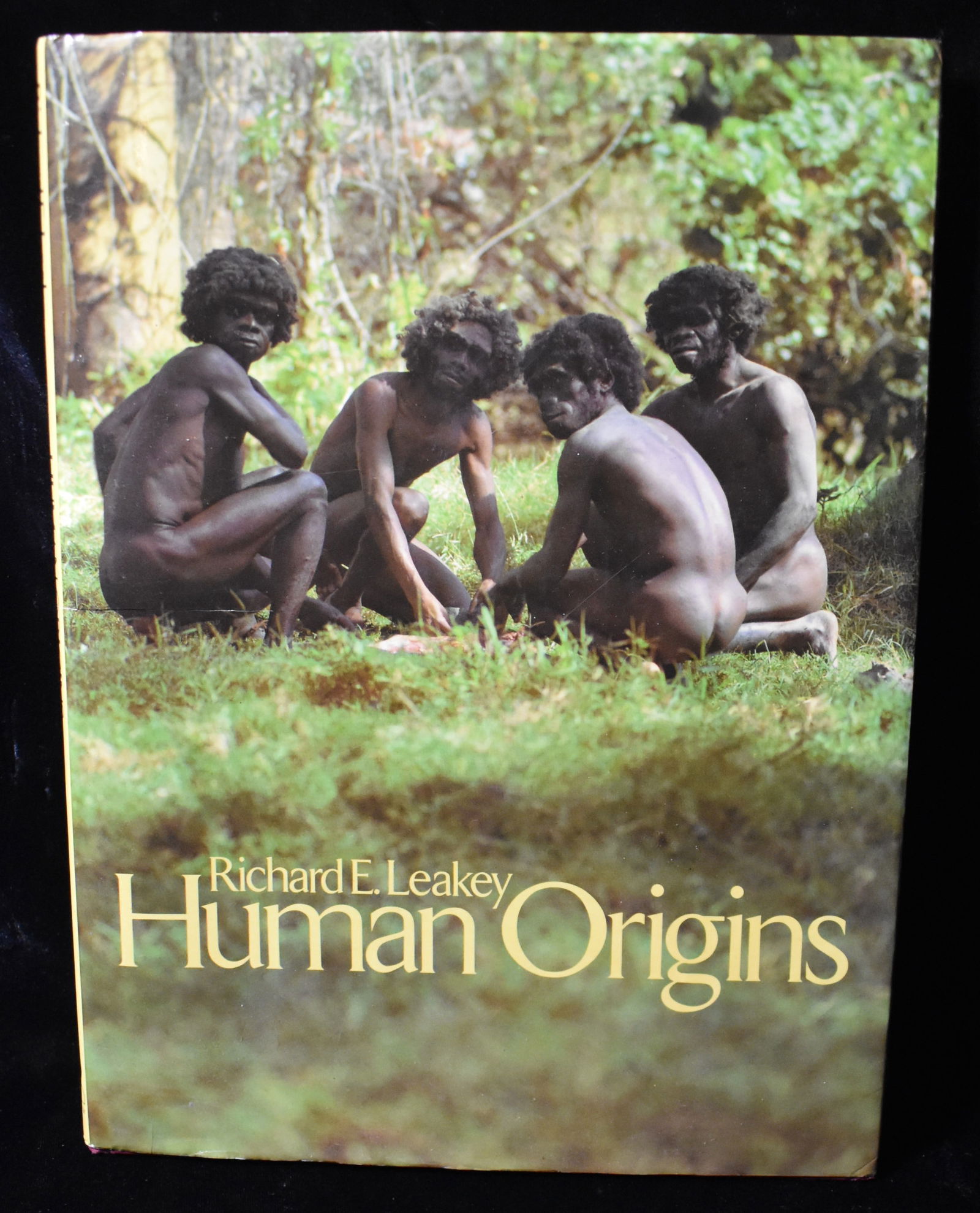 Human Origins by Richard Leakey - 1982 Hardback (1 of 8)