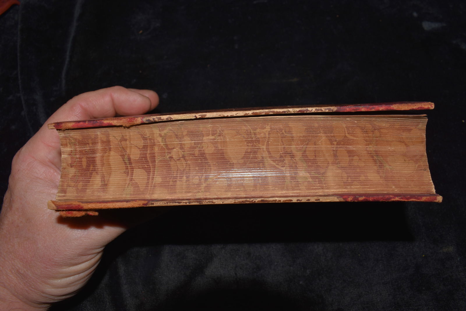 Circa 1850's The Poems Of Elizabeth Barrett Browning With Memoir (Albion Edition) - 9