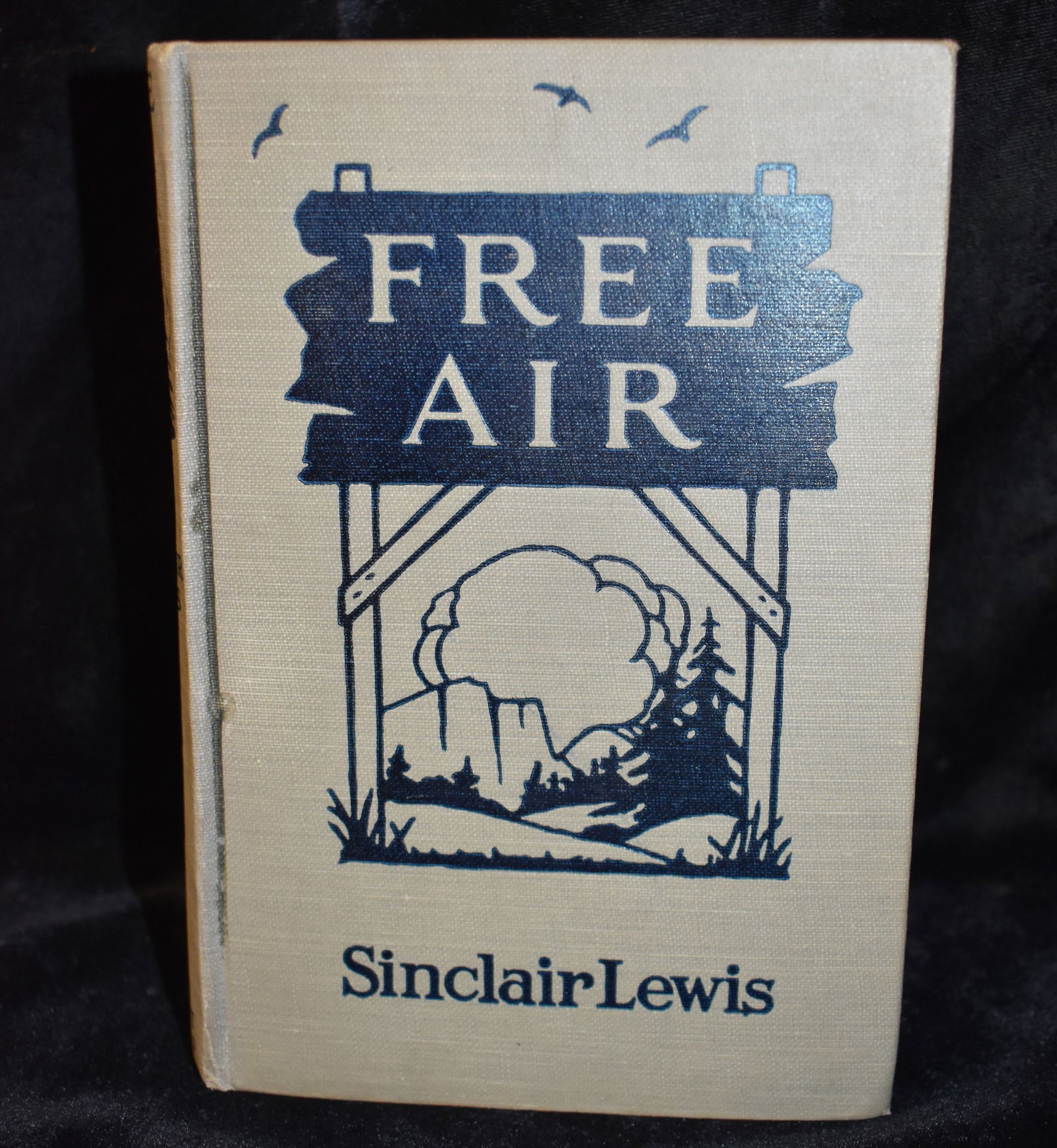 1919 FREE AIR by Sinclair Lewis (1 of 7)