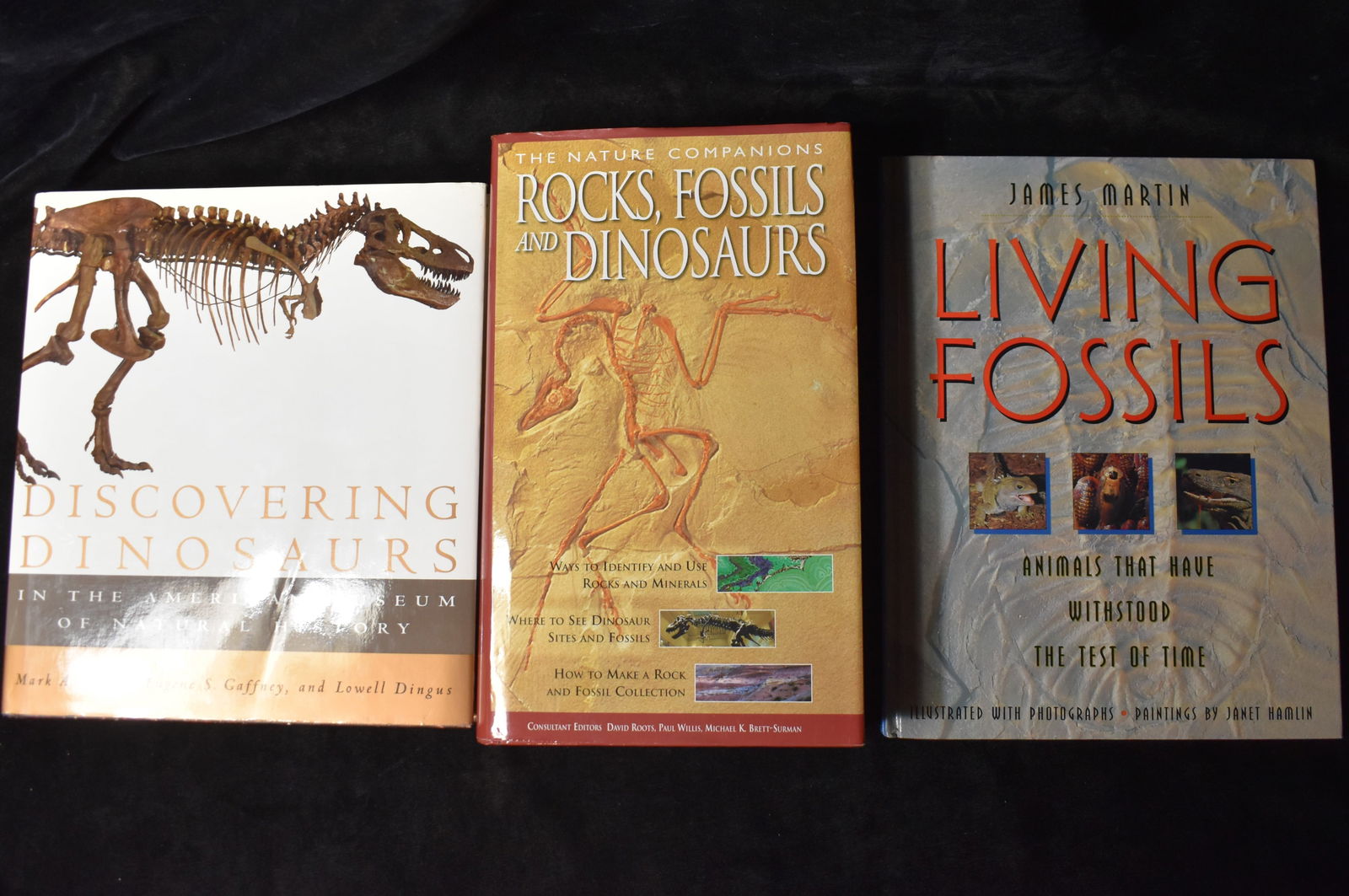 3 Hardback Books on Dinosaurs and Fossils: Discovering Dinosaurs: In the American Museum of Natural History by Norell, Mark A.. Published by Alfred A. Knopf, 1995. 1st Edition hardback in excellent condition with dust cover.; Living Fossils :