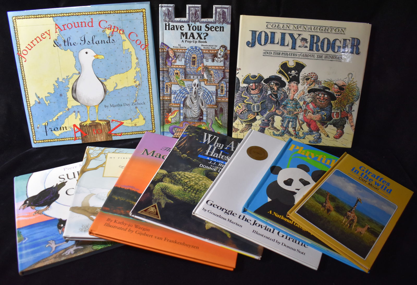 10 Hardback Children's Books (2 Pop Up Books) - Have You Seen Max (Pop up Book), Playful Panda's (1 of 12)