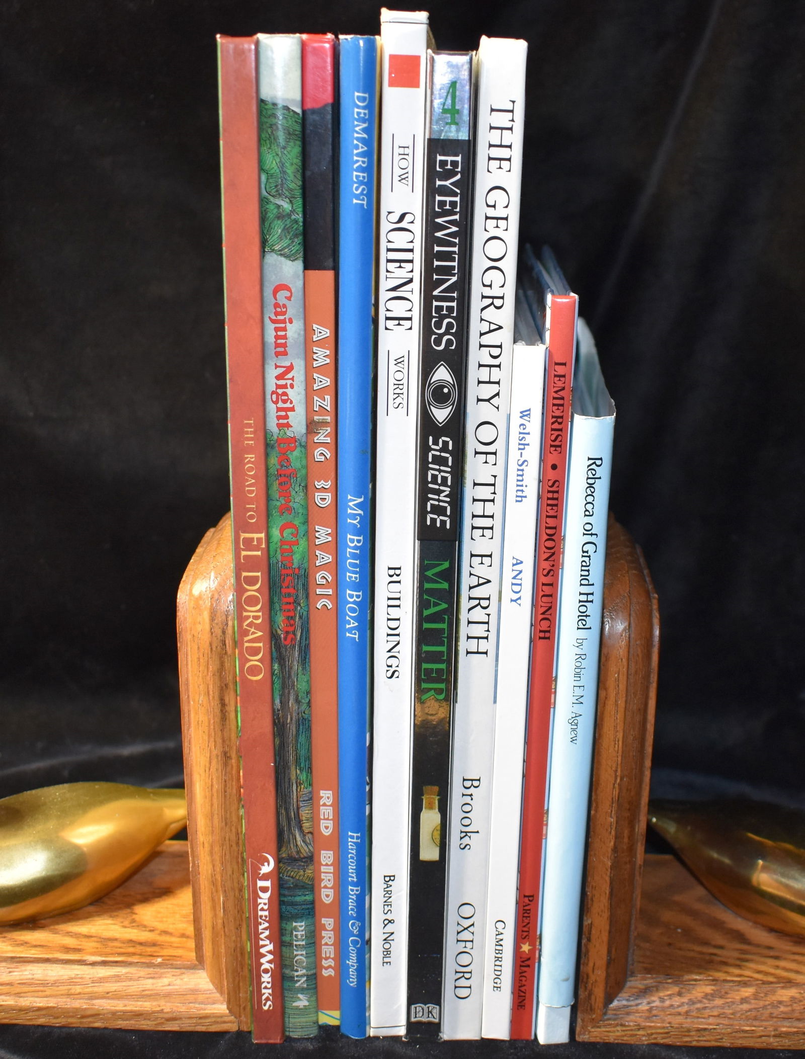 10 Hardback Children's Books - My Blue Boat, The Road to Eldorado, Cajun Night Before Christmas, (1 of 12)