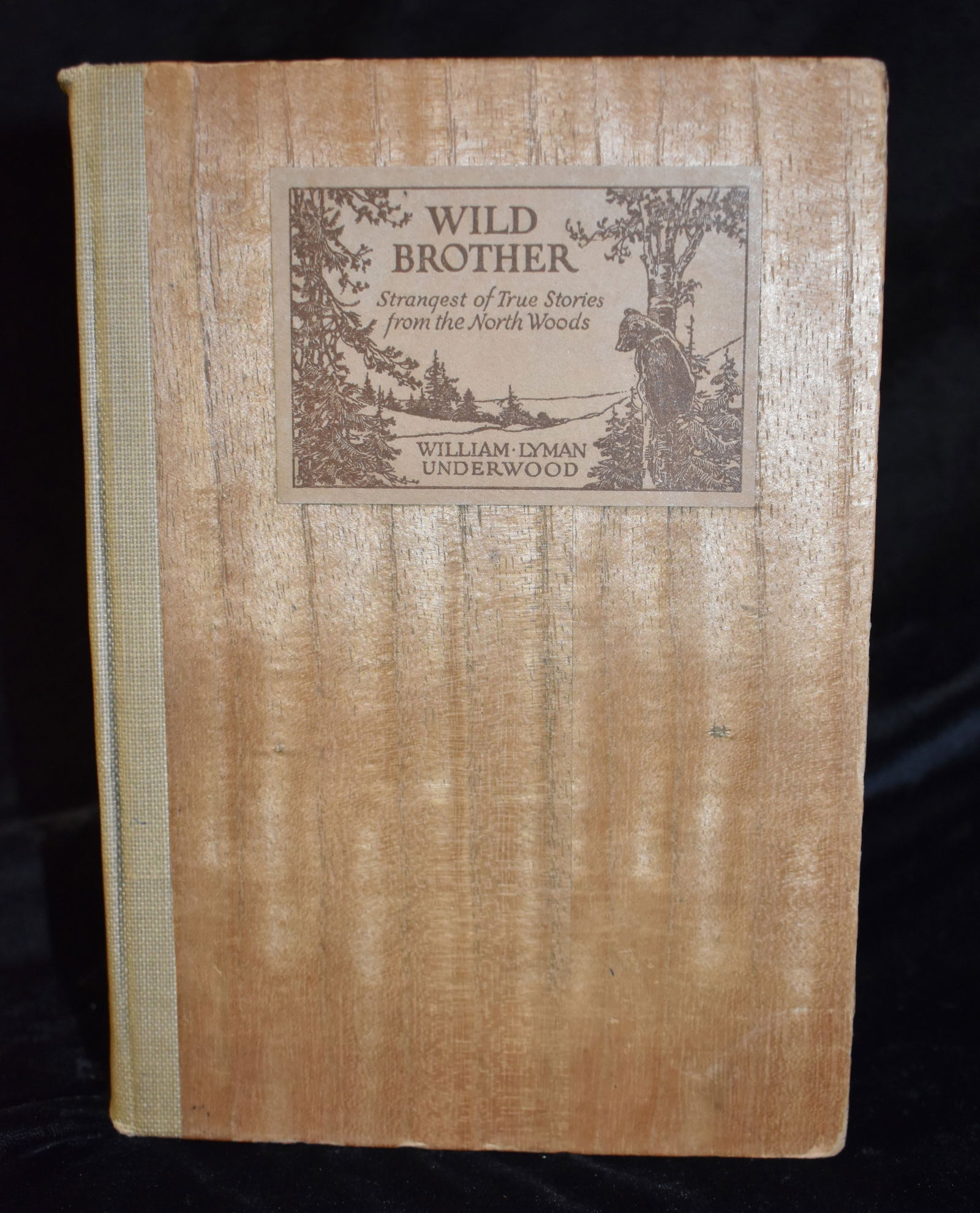 1922 Wild Brother: Strangest of True Stories from the North Woods by William Underwood (1 of 9)