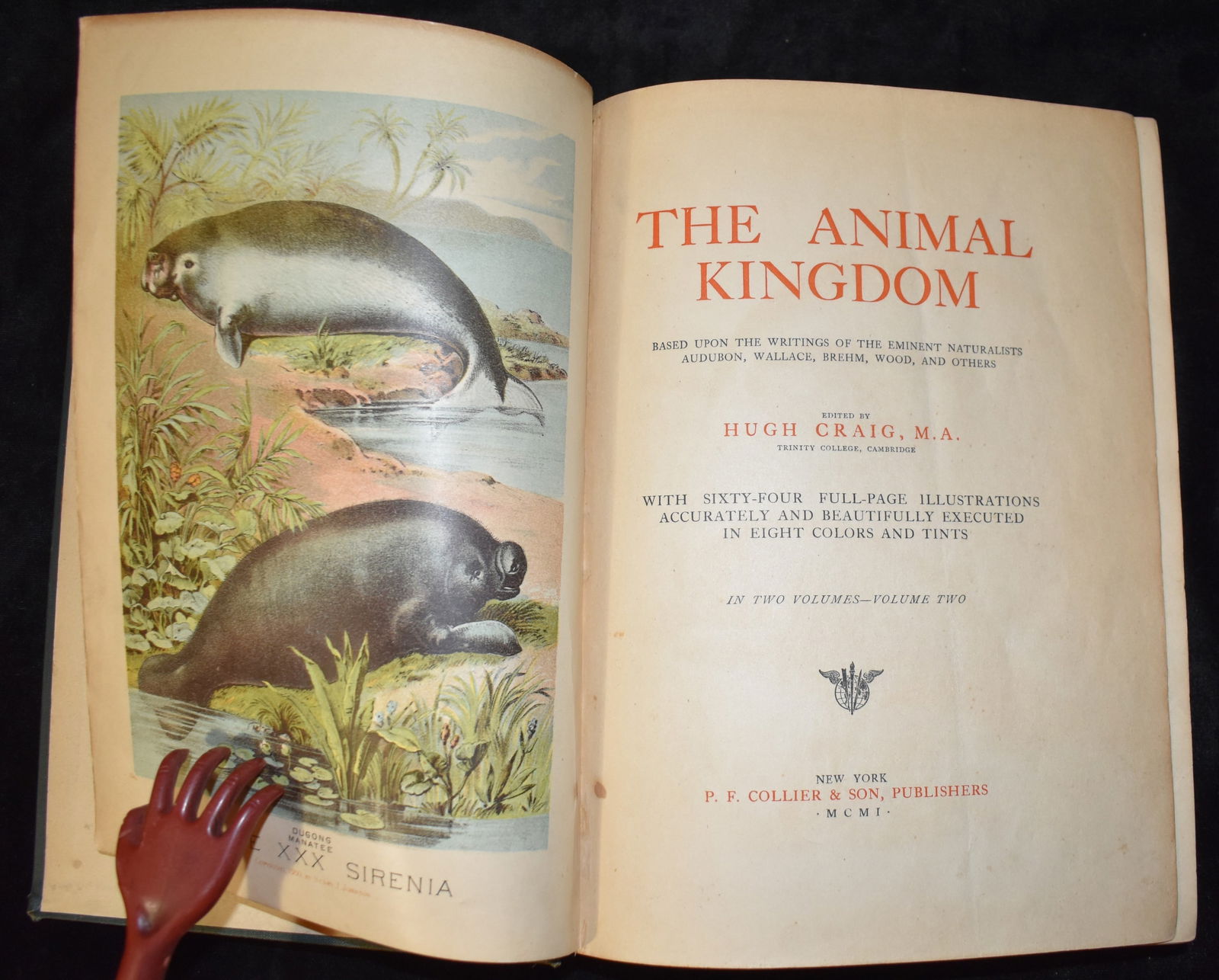 1901 THE ANIMAL KINGDOM by Hugh Craig (1 of 8)