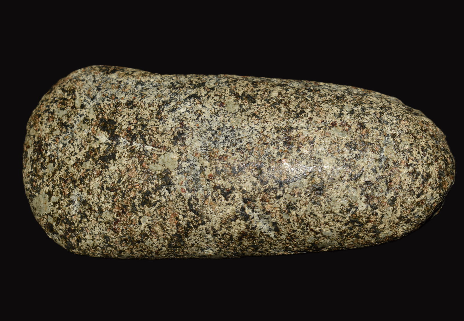 4 3/8" Highly Polished Speckled Granite Adze found in Peoria County, Illinois (1 of 7)