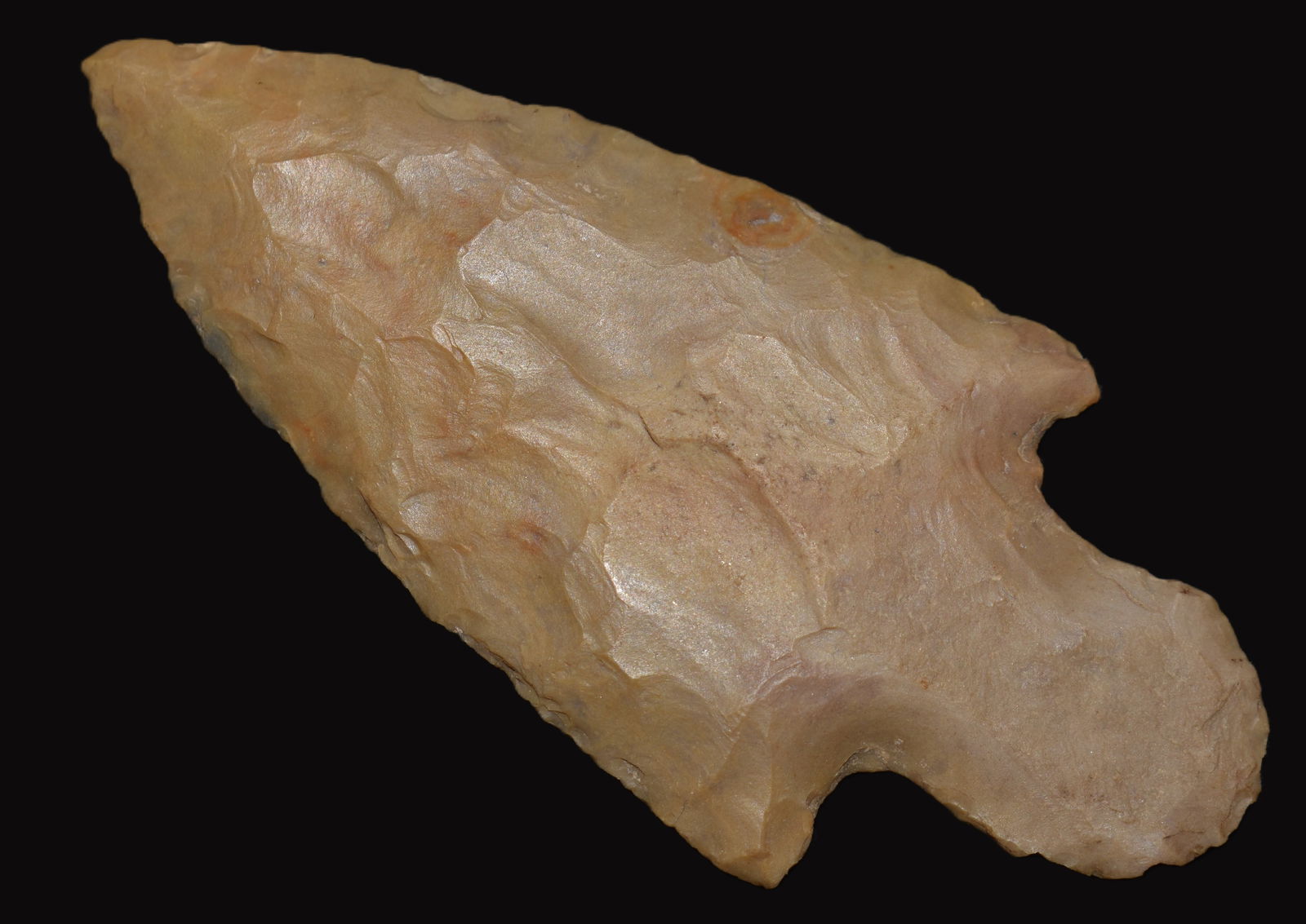 3" Finely Made Harrison Turkeytail found in Clark County, Indiana (1 of 9)