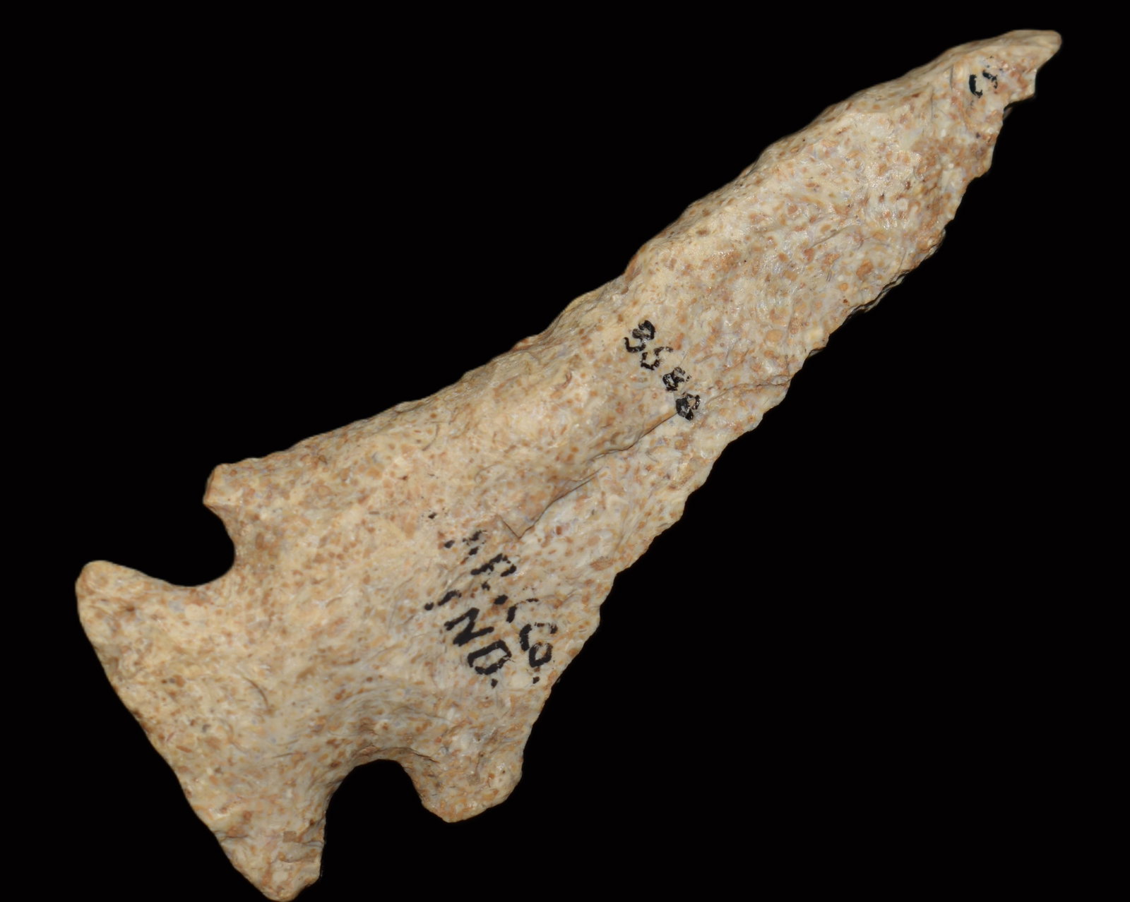 3 1/16" Hardove found in Clark County, Indiana: 3 1/16" Hardove found in Clark County, Indiana. A heavily resharpened example of the type. Ex Donald Kohler Collection