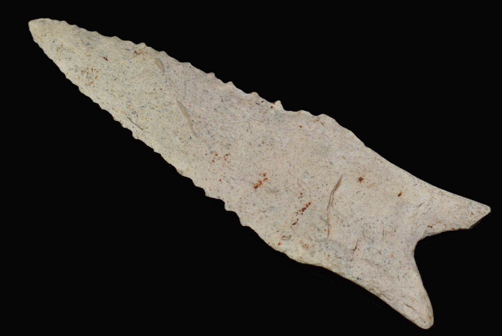 3 9/16" Exceptional Classic Dalton found in Lincoln County, Mo w/ Keele COA (1 of 13)