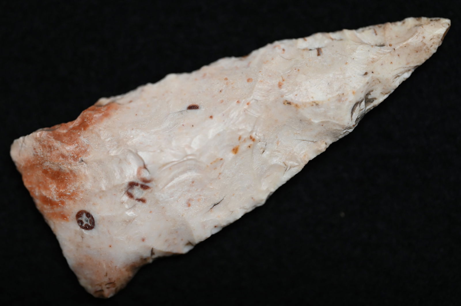 2 5/8" Colorful Rice Side Notched Arrowhead Found in Lincoln Co. Missouri Ex: Donald Koehler (1 of 6)