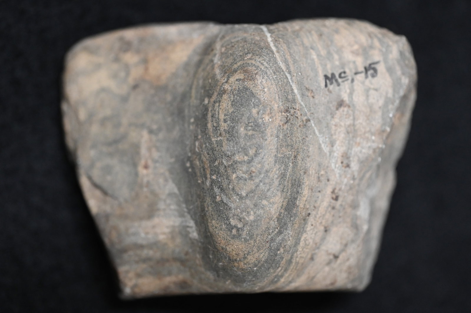 2 3/8" Slate Wing Bannerstone Found in McClean Co. Illinois.: 2 3/8" Slate Wing Bannerstone Found in McClean Co. Illinois.