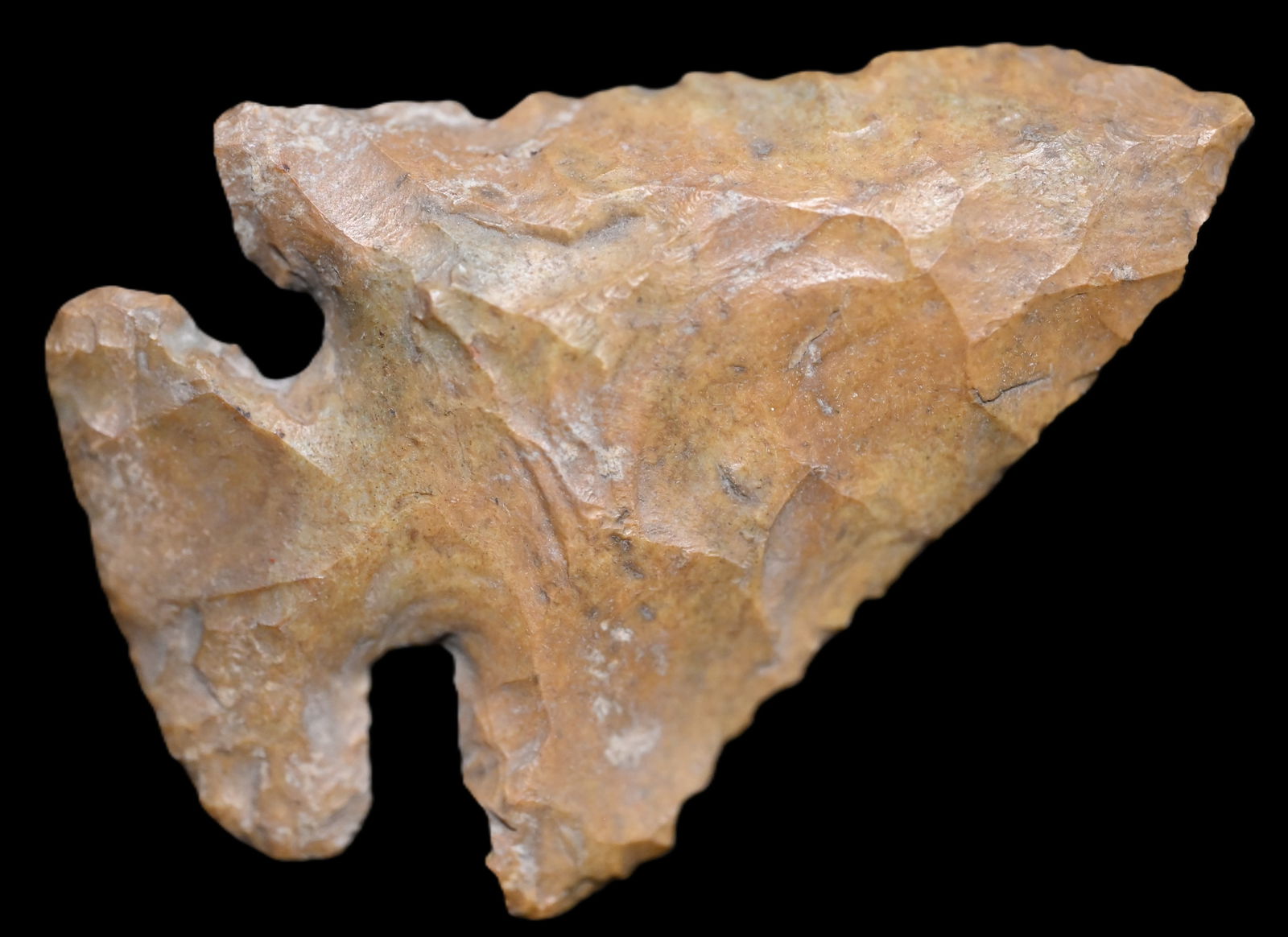 2 7/16" Boone Co. Missouri Thebes Ex: Mike Bradshaw Collection. Ryan Keele COA. (1 of 9)