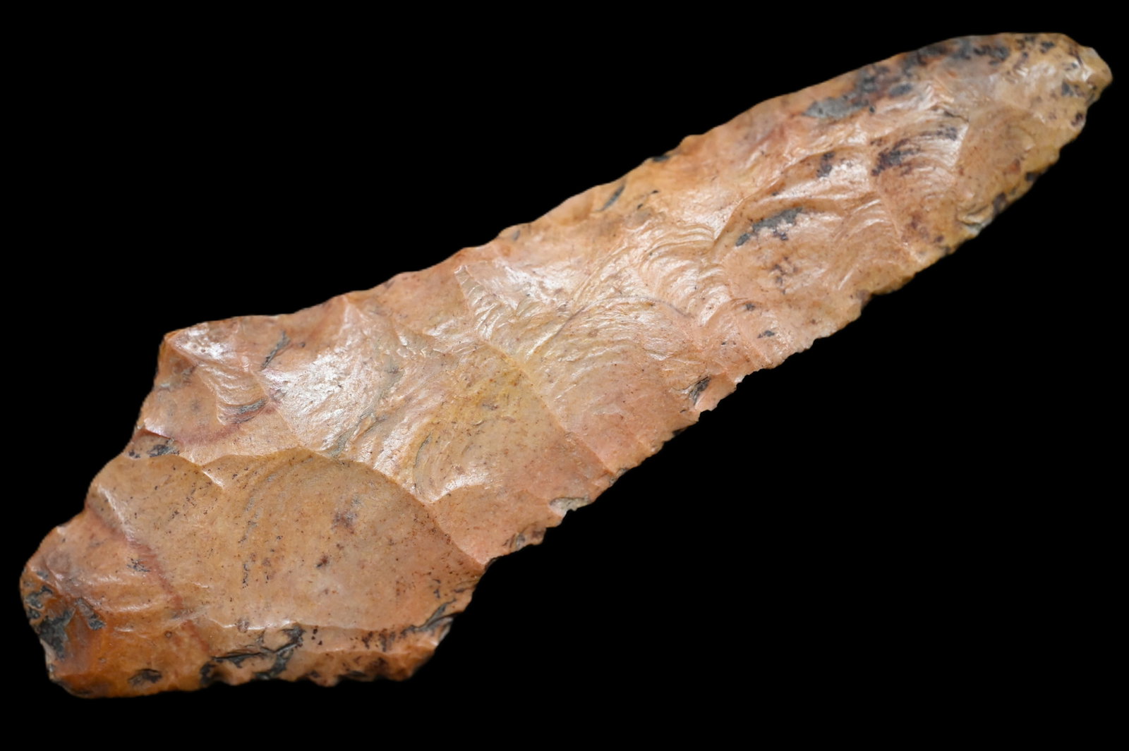 4 9/16" Creek Stained Dickson Arrowhead Found in Montgomery Co. Missouri Ex: Mike Bradshaw: 4 9/16" Creek Stained Dickson Arrowhead Found in Montgomery Co. Missouri Ex: Mike Bradshaw Collection Ryan Keele COA.