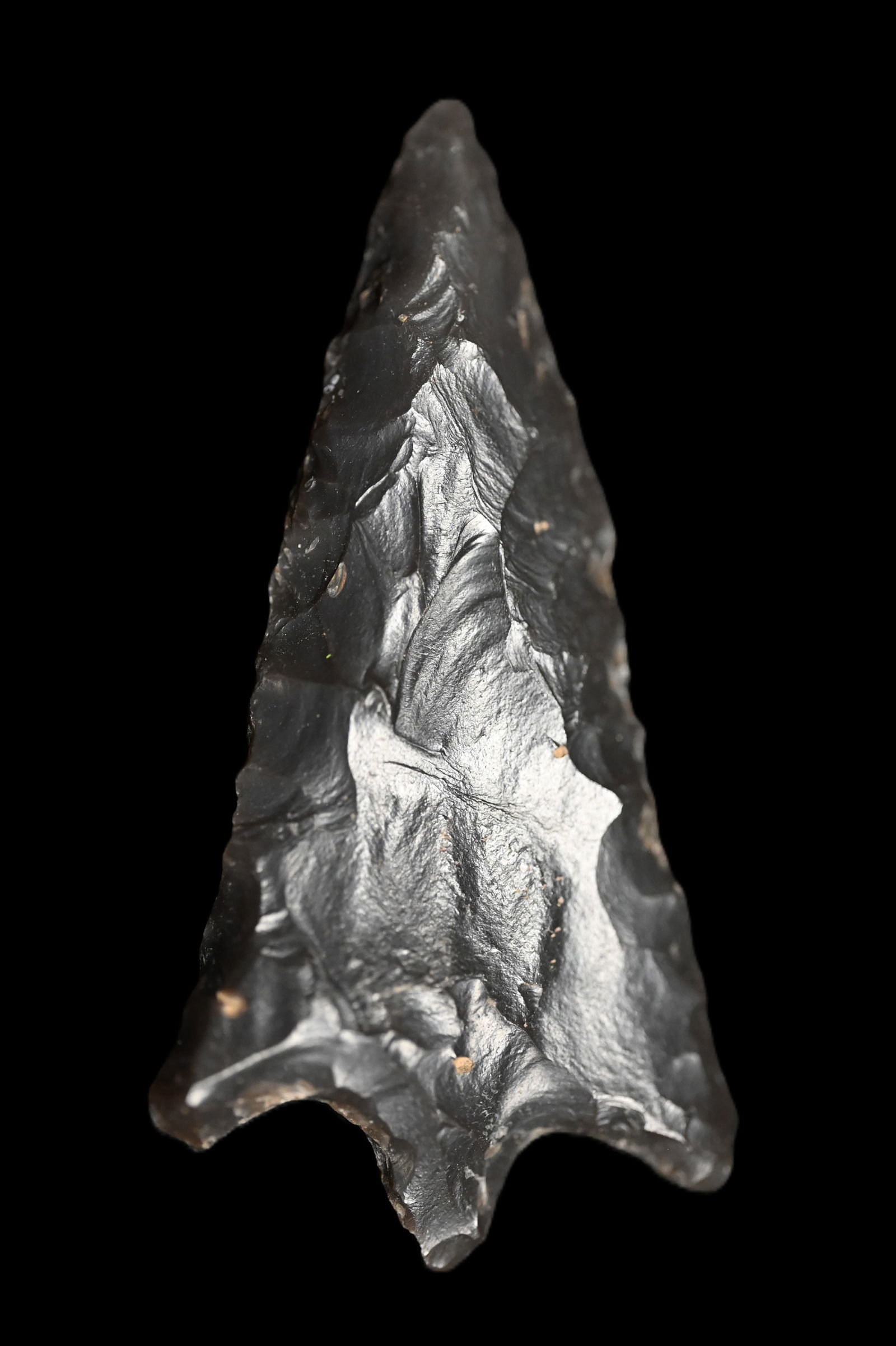 1 15/16" Rabbit Island Found in the Northwest. (1 of 6)