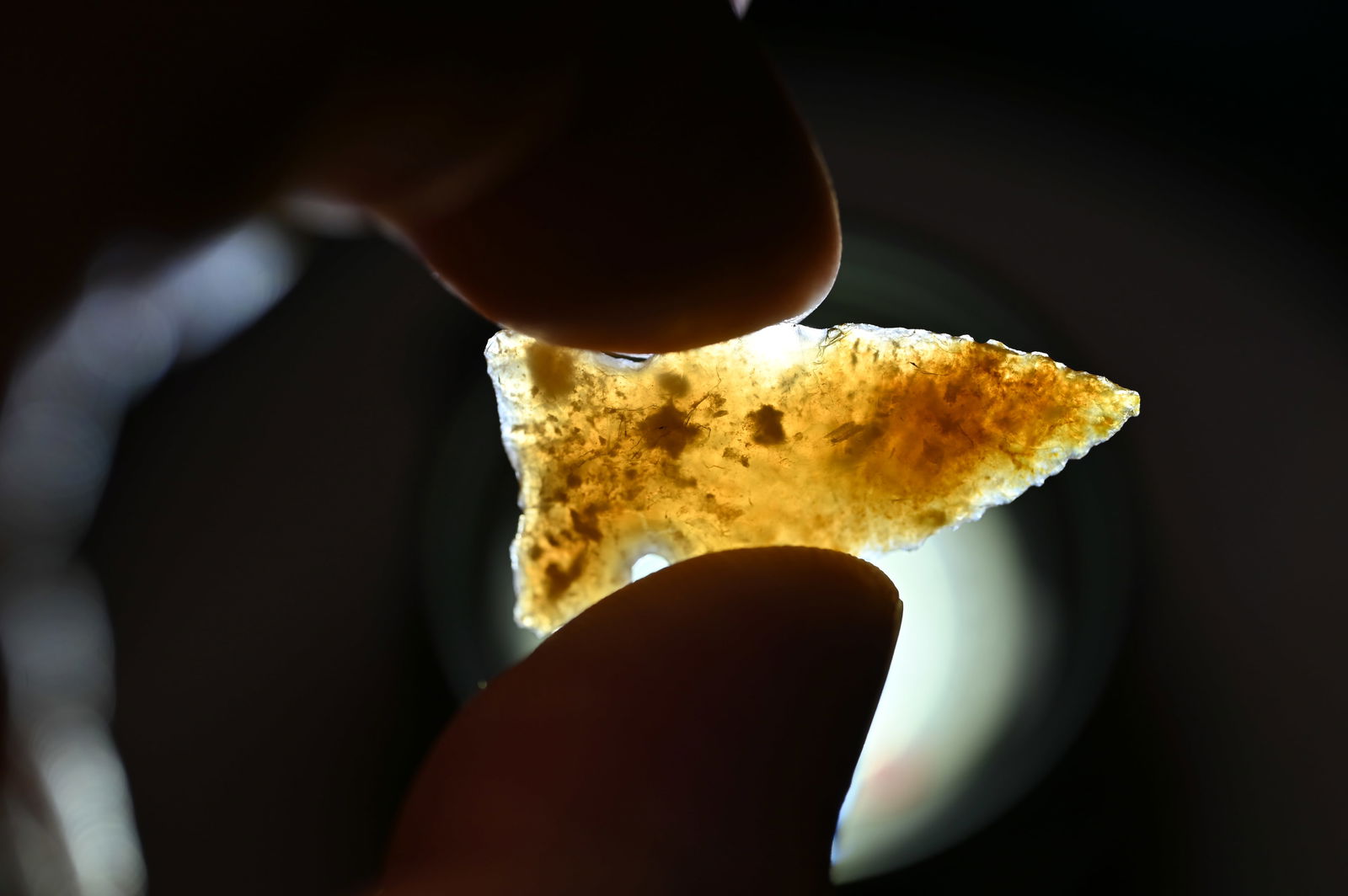 1 9/16" Knife River Chert Side Notched Bird Point Found in South Dakota. (1 of 7)