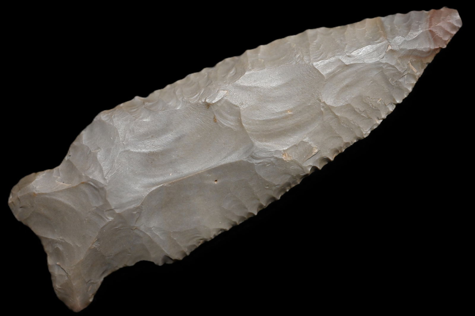 3 7/16" Pine Tree Arrowhead Found in Kentucky/Tennessee area Ex: Walt McIntyre Collection. (1 of 6)