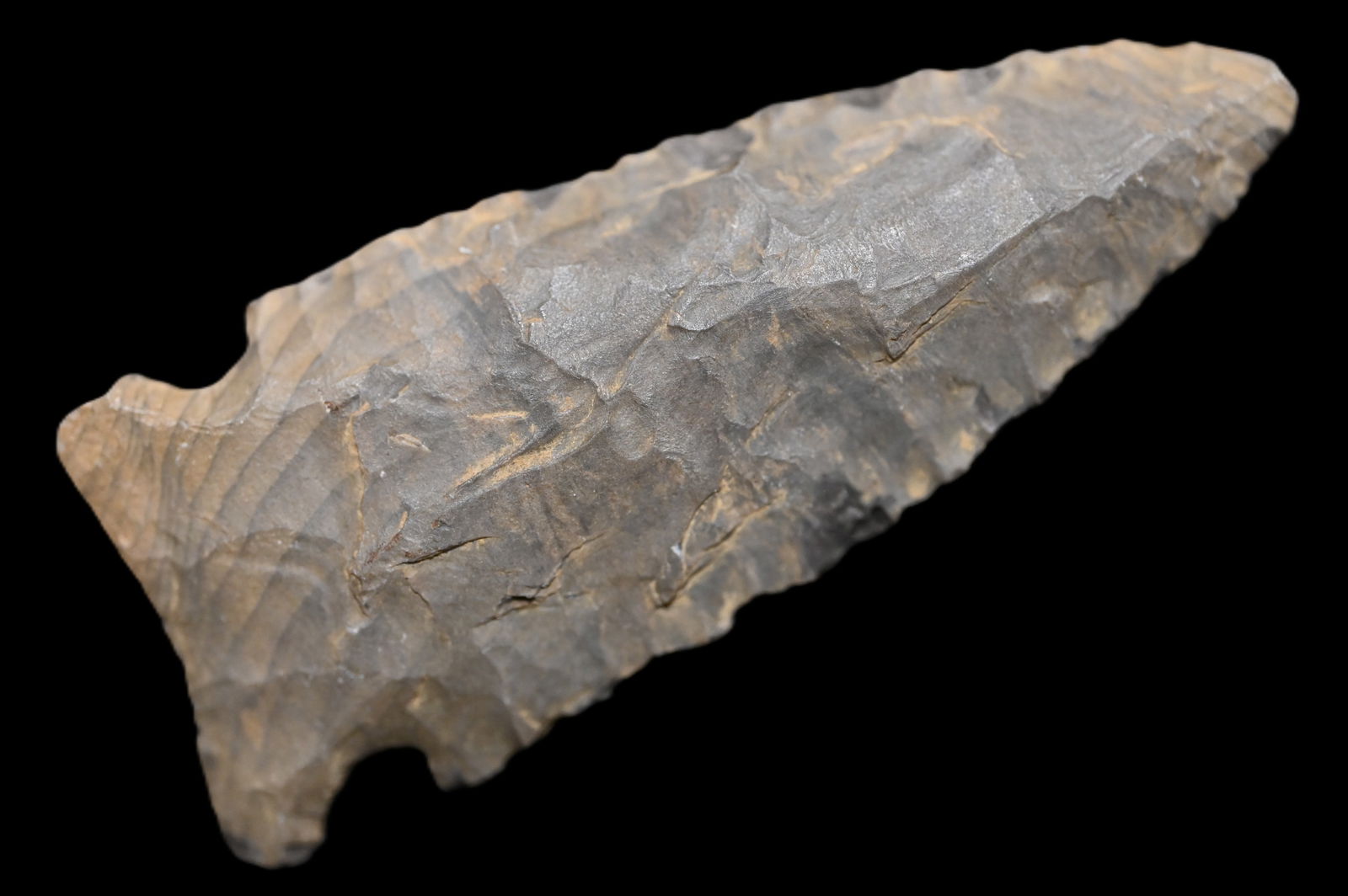 2 7/8" Pine Tree Arrowhead Found in Kentucky/Tennessee Ex: Walt McIntyre Collection. (1 of 6)