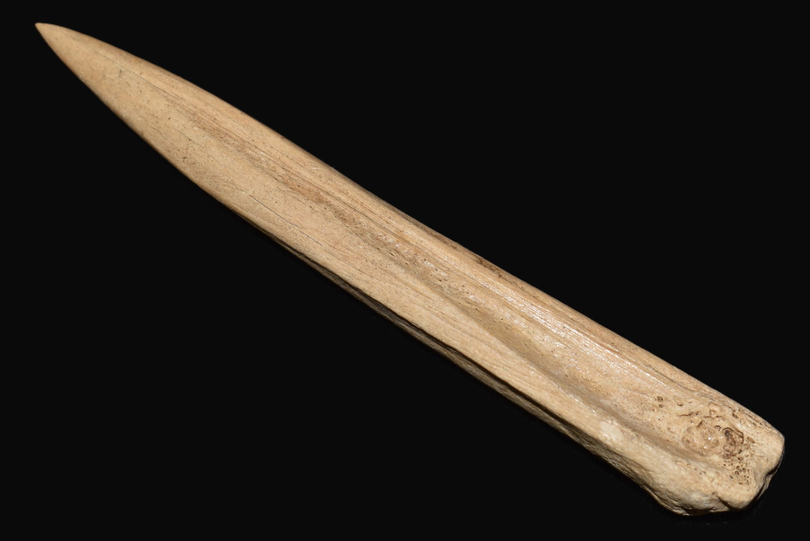 4 1/2" Highly Developed Bone Awl found in Indiana: 4 1/2" Highly Developed Bone Awl found in Indiana . From the late Raymond Peak Collection.