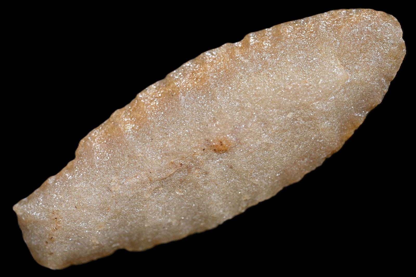 3 1/8" Hixton Eared Scottsbluff Found in Morgan Co. Illinois Ryan Keele COA Ex: Aaron Marath (1 of 7)