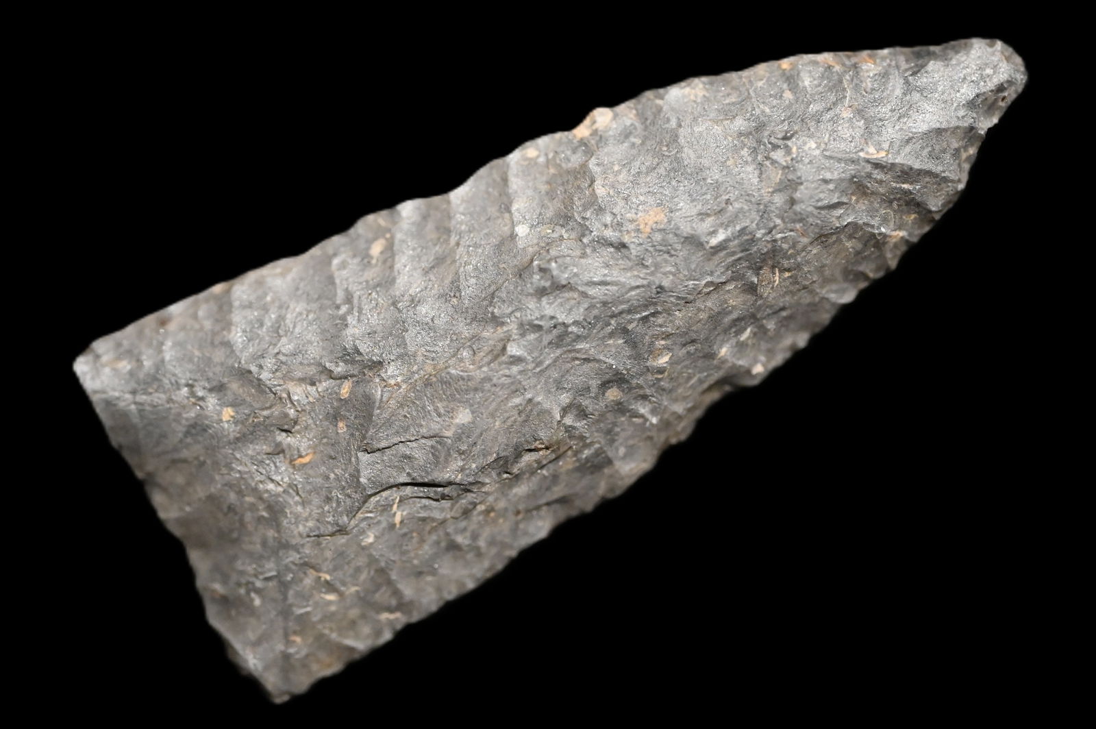 1 3/4" Plainview Found in Pettis Co. Missouri. Finely made artifact Ex: George Wolf Collection.: 1 3/4" Plainview Found in Pettis Co. Missouri. Finely made artifact Ex: George Wolf Collection.