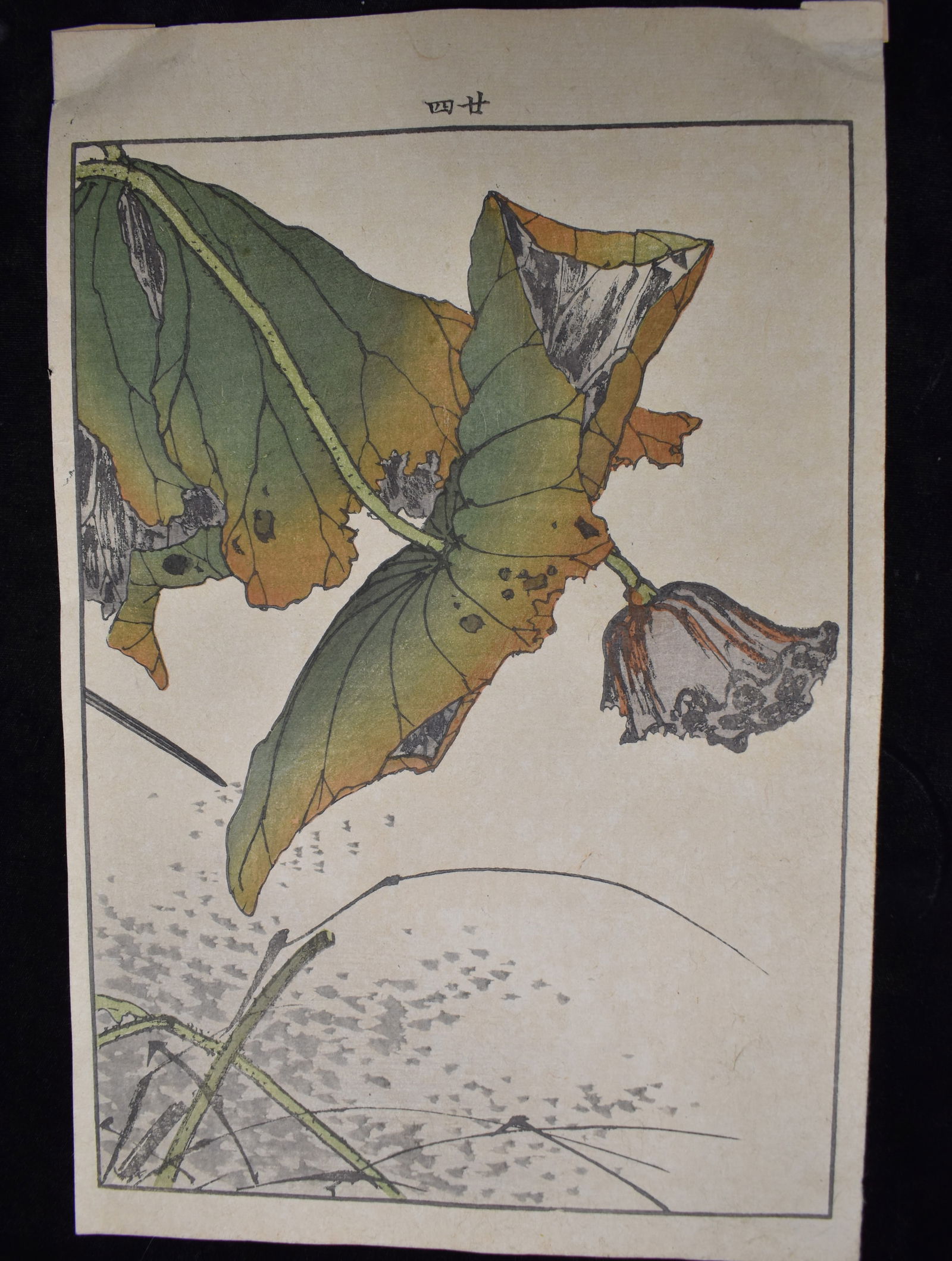 Original Keinen Imao Woodblock Print - Meiji Period 1885: Keinen Imao Woodblock Print - Meiji Period 1885. Imao Keinen (1845–1924) was a Japanese painter and woodblock print artist best known for his exquisite bird and flower (kacho-e) prints, which remain