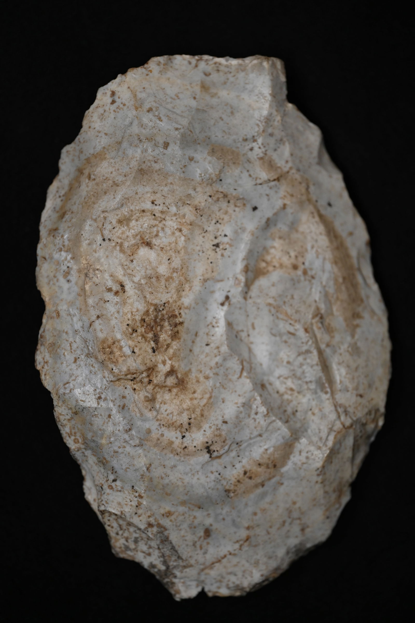 7 1/2" Burlington Chert Preform Found in Fulton Co. Illinois by Dean Dowling.  Very large example of (1 of 4)