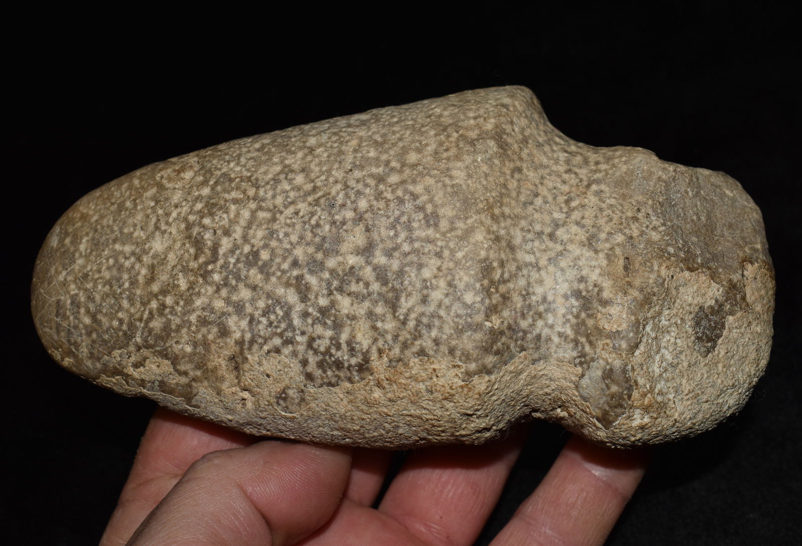 6 1/8" Full Groove Native American Stone Axe Head: 6 1/8" Full Groove Native American Stone Axe Head found by Kristie Schwab near Cahokia Mounds in Madison County, Illinois.