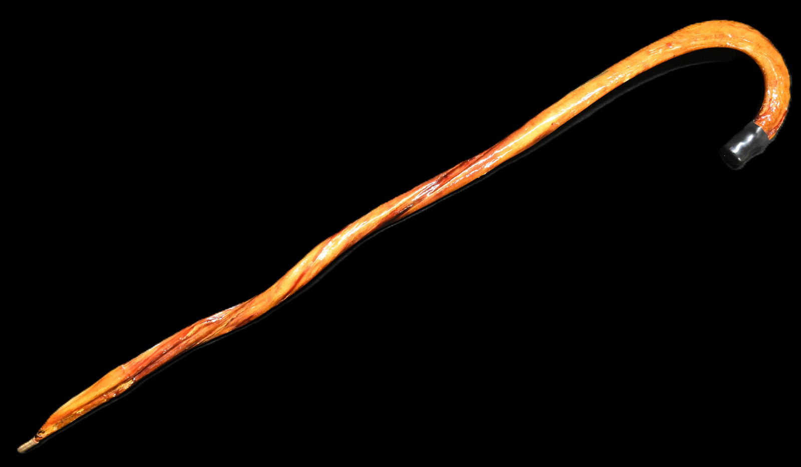 36 1/2" Bull Reproductive Organ Cane.: 36 1/2" Bull Reproductive Organ Cane.