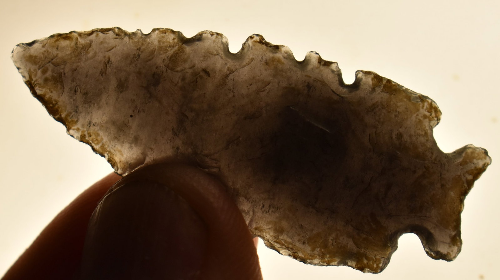 2 1/16" Obsidian Arrowhead found in Alaska: 2 1/16" Obsidian Arrowhead found in Alaska. There isn't enough information on the arrowhead types of Alaska for us to be able to label this one by type. It is an interesting piece with intentional saw