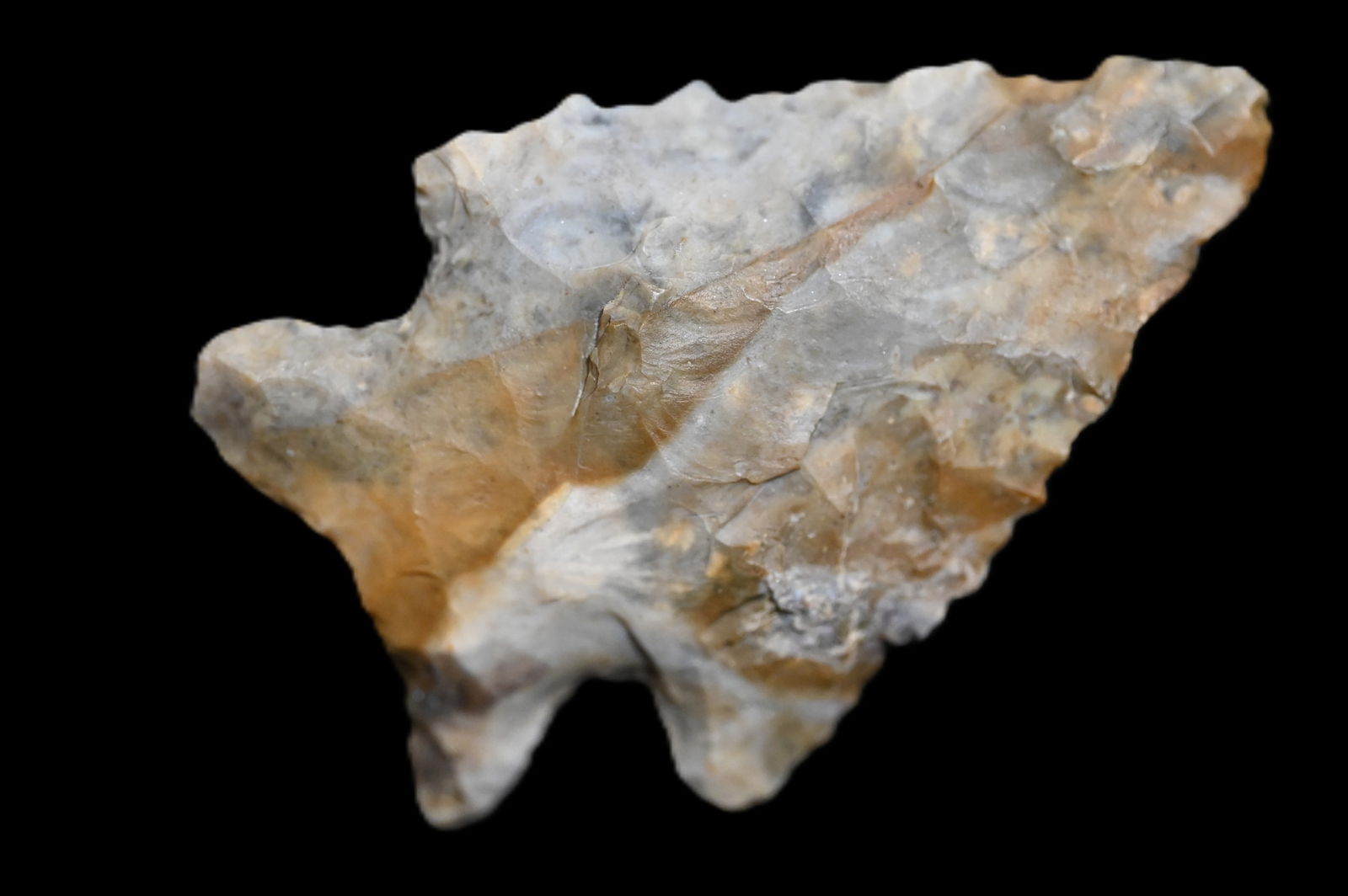 2 1/8" Maccorkle Arrowhead Found in KY/TN area Ex: Walt McIntyre Collection. (1 of 5)