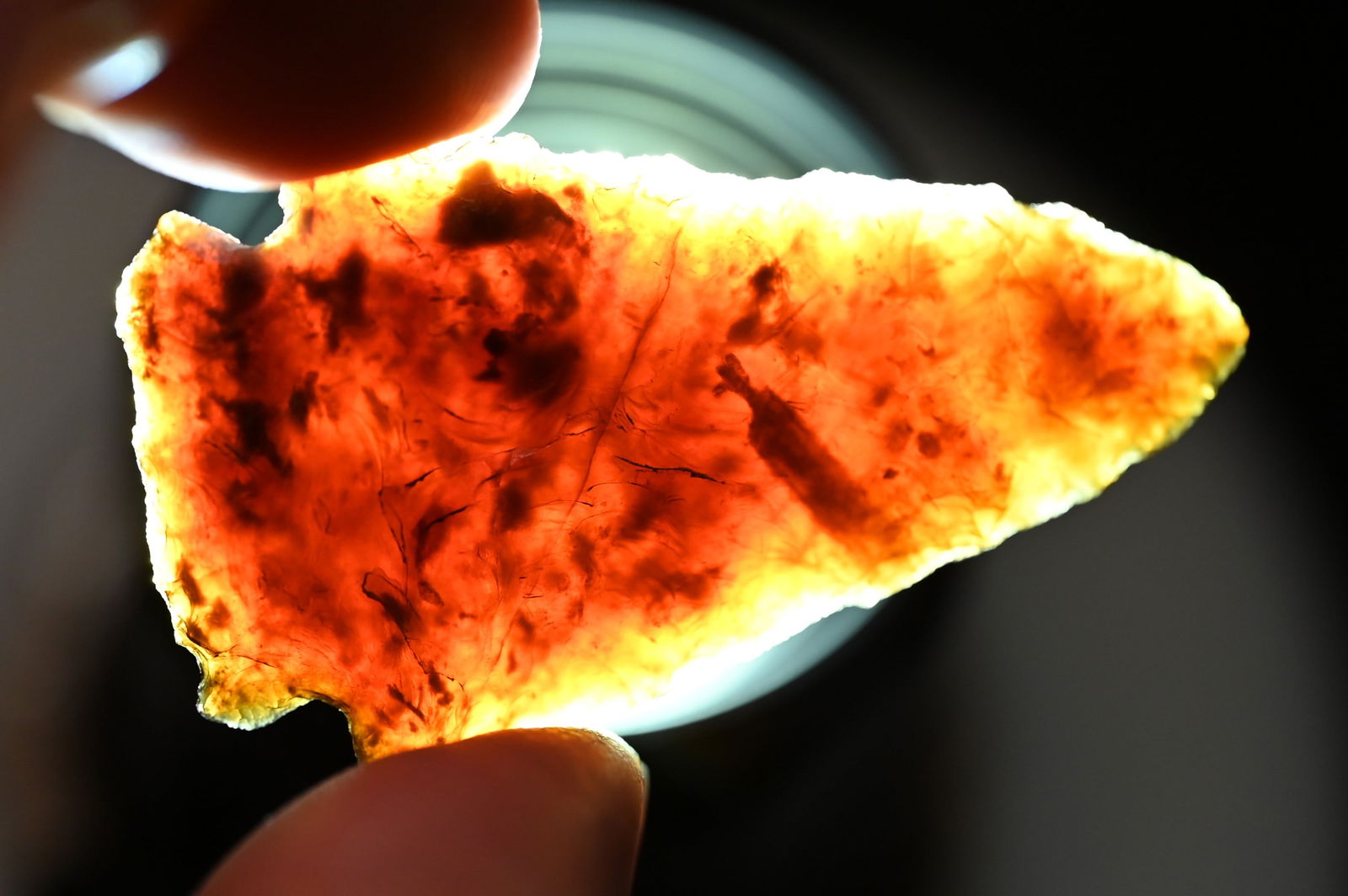 2 1/16" Besant Knife River Chert Arrowhead Found in South Dakota Ex: Dan Maas Collection. - 6