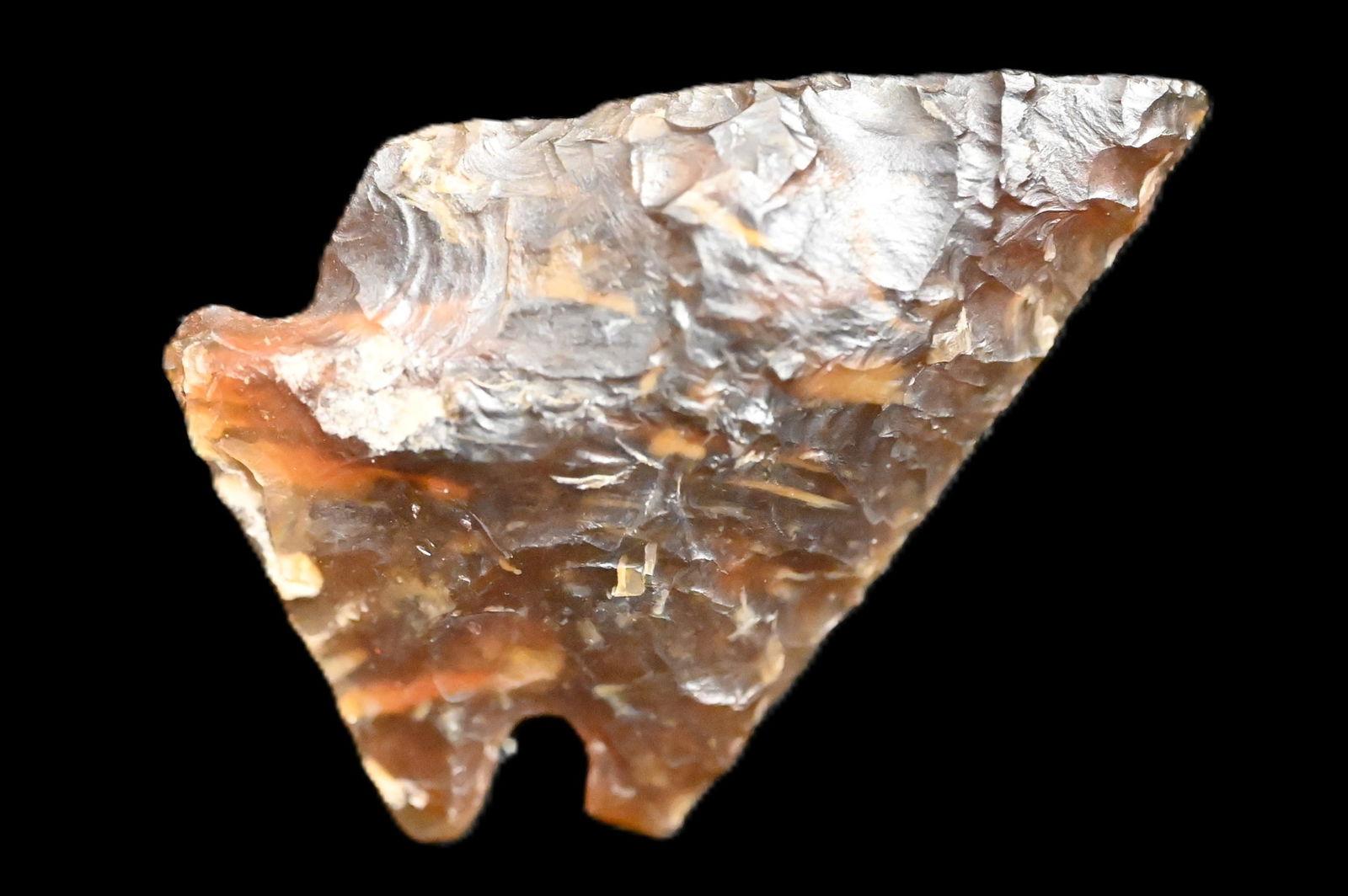 1 3/8" Pelican Lake Knife River Chert Arrowhead Found in South Dakota Ex: Dan Maas Collection. (1 of 6)