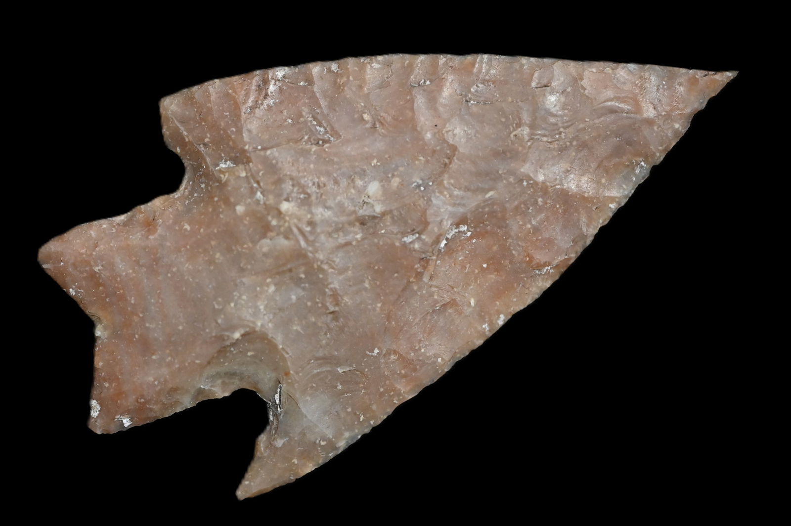 2 9/16" Pedernales Arrowhead Found in Texas. (1 of 5)