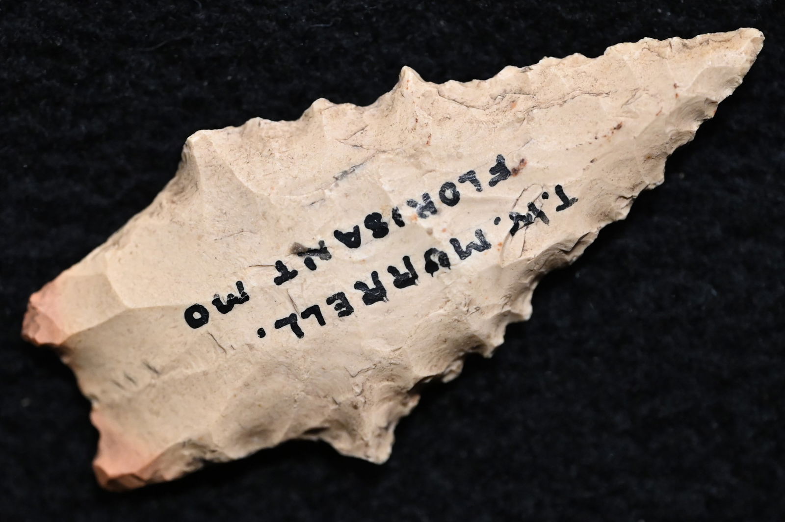 2 5/16" Kirk Serrated Arrowhead Found in St. Louis Co. Missouri.: 2 5/16" Kirk Serrated Arrowhead Found in St. Louis Co. Missouri.