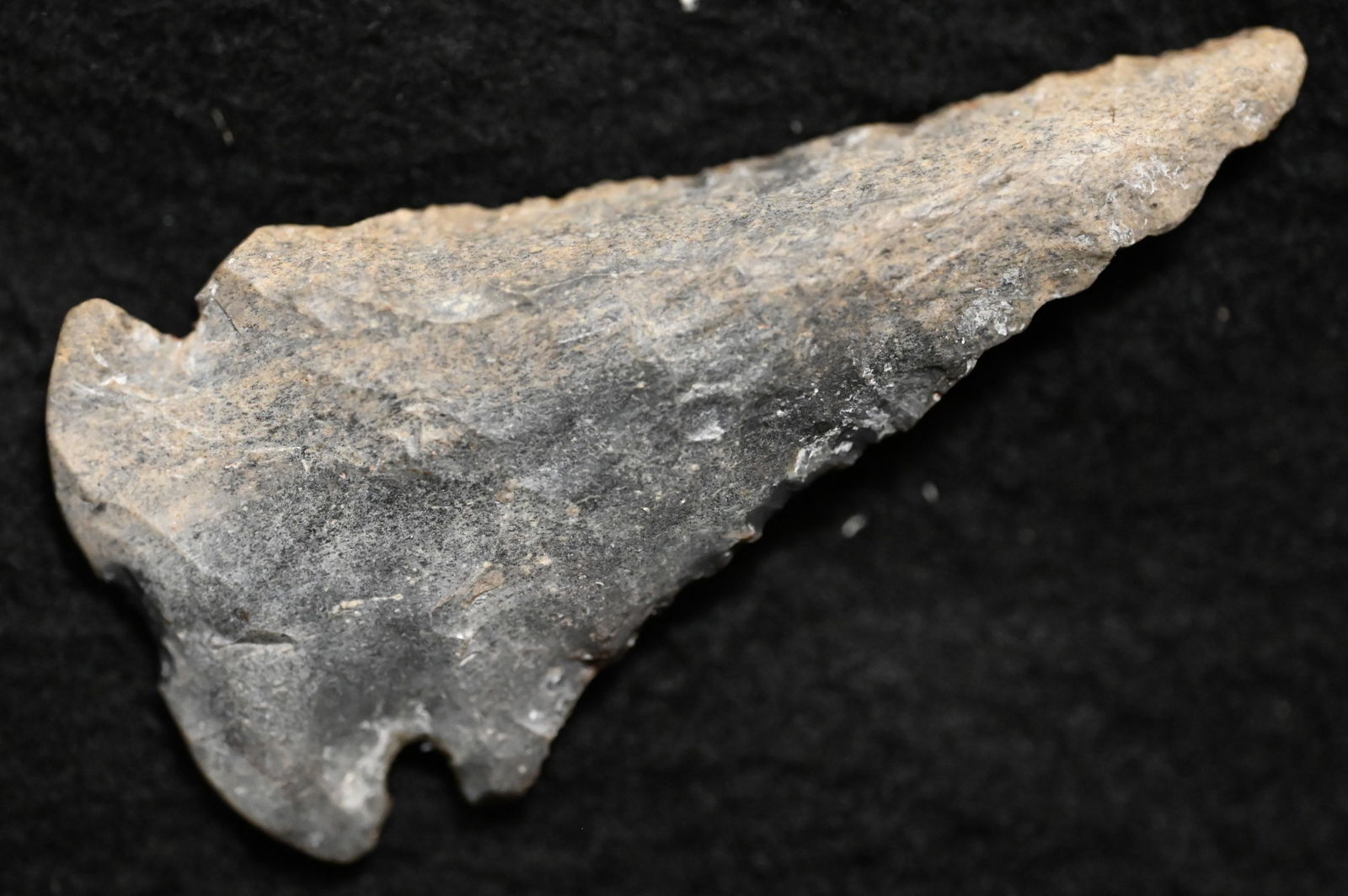 2 5/8" Dovetail Arrowhead found in Kentucky Ex: Walt McIntyre Collection. (1 of 5)