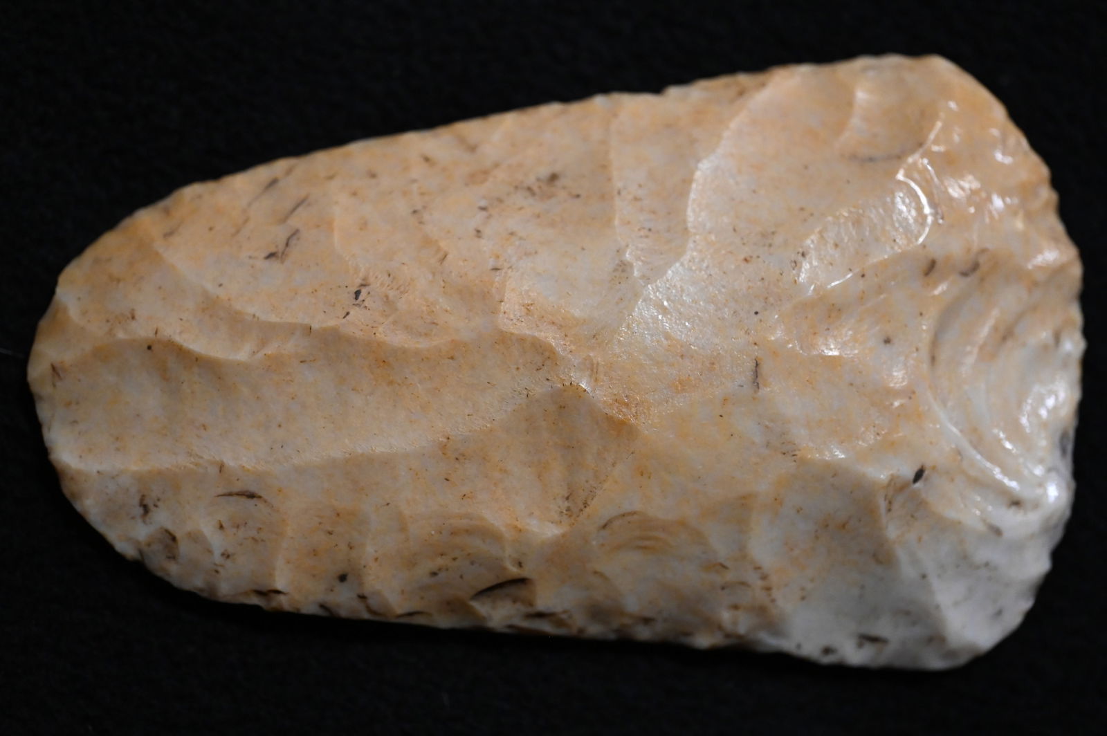 5 11/16" Exceptional Kaolin Spade Found in Brown Co. Illinois by Aaron Marath. Ryan Keele COA. Rare (1 of 9)