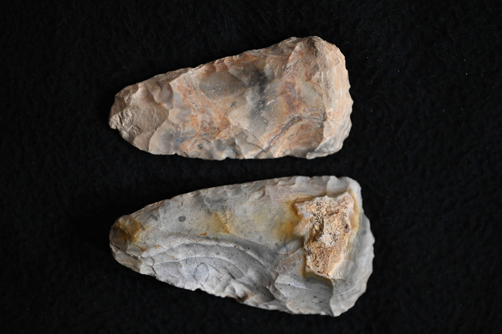 2 Colorful Clear Fork Gouges 3 15/16" Longest. Found in Saline Co. Missouri Ex: George Wolf: 2 Colorful Clear Fork Gouges 3 15/16" Longest. Found in Saline Co. Missouri Ex: George Wolf Collection.