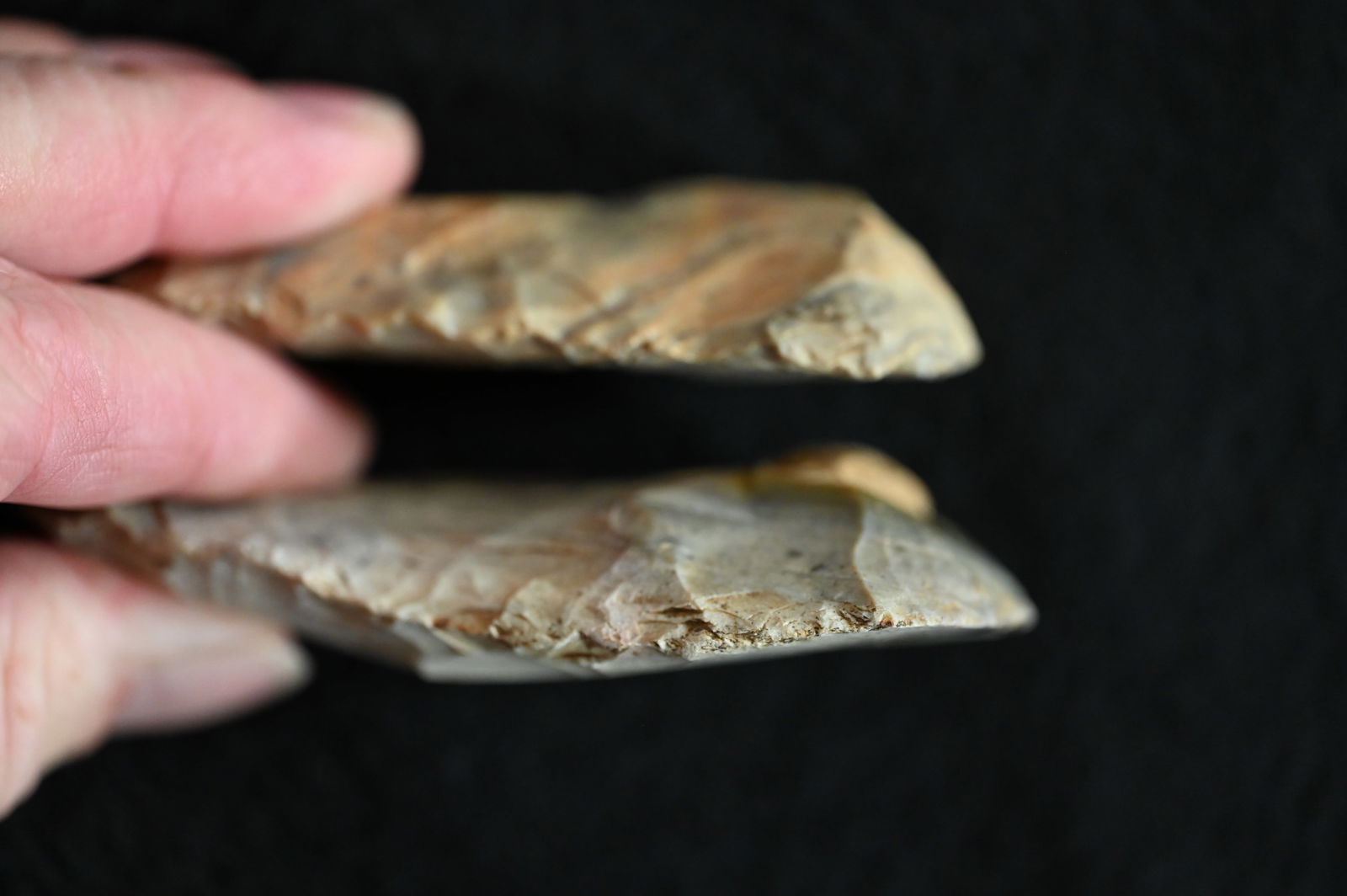 2 Colorful Clear Fork Gouges 3 15/16" Longest. Found in Saline Co. Missouri Ex: George Wolf - 3