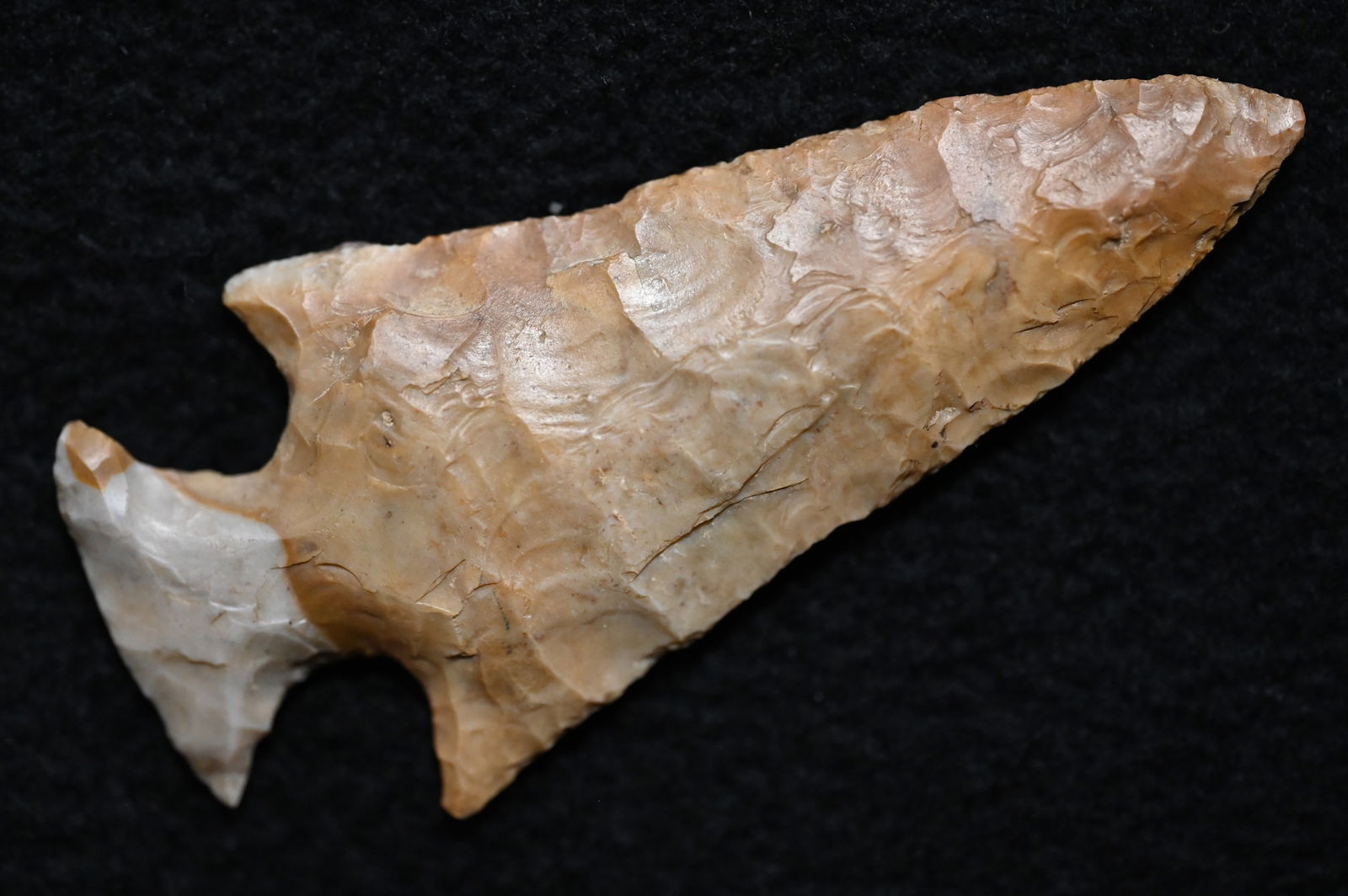 3 1/16" Paoli Chert Motley Arrowhead Found in Kentucky. Ryan Keele COA Ex: Philip Potter Collection. (1 of 6)
