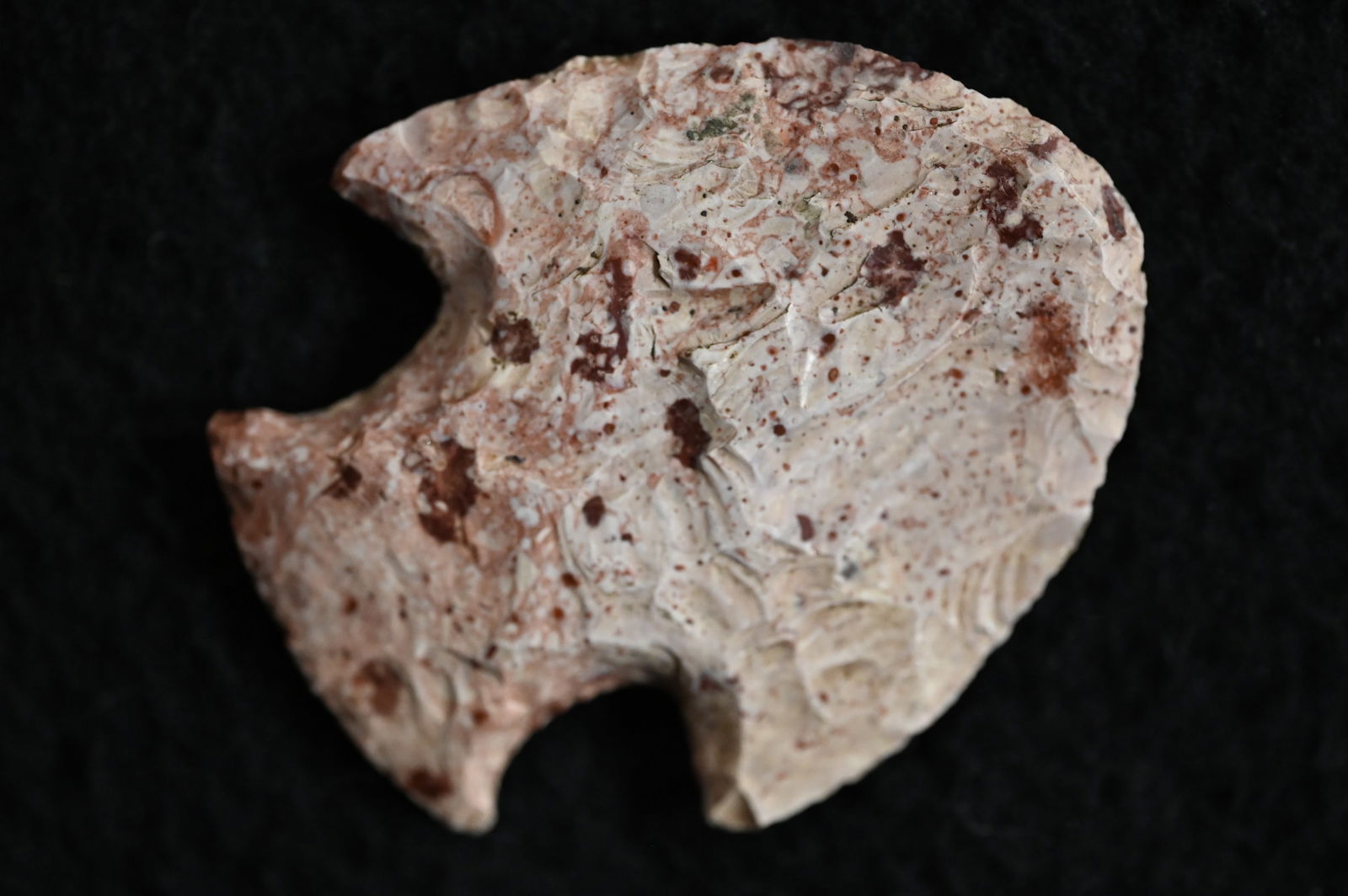 2 9/16" Snyders Arrowhead Found in Saline Co. Missouri Ex: George Wolf Collection. (1 of 5)