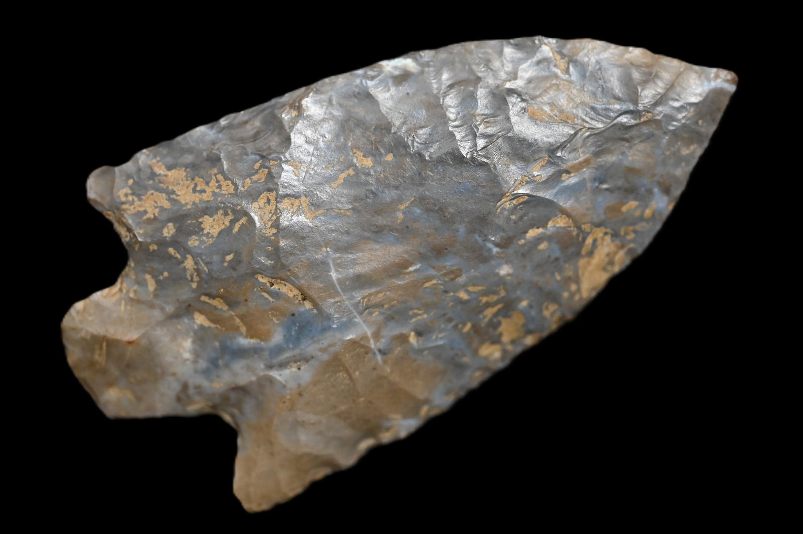 3 3/8" Pinters Chert Eva Found in Ripley Co. Mo. by Tim Jordan. Roy Motley COA. (1 of 7)