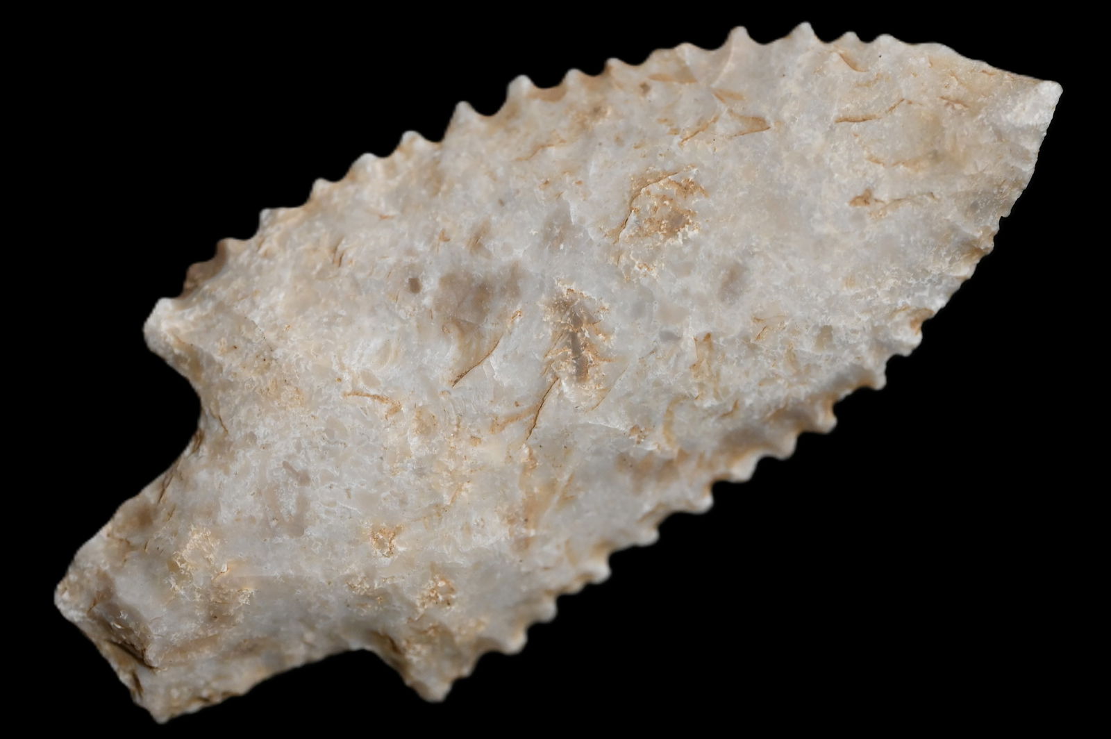 3 1/4" Heavily Serrated Searcy Found in Butler Co. Missouri by Larry Thurman. Roy Motley COA.: 3 1/4" Heavily Serrated Searcy Found in Butler Co. Missouri by Larry Thurman. Roy Motley COA.